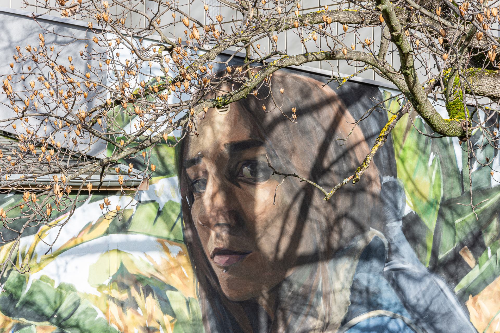 street art sous les branches.jpg