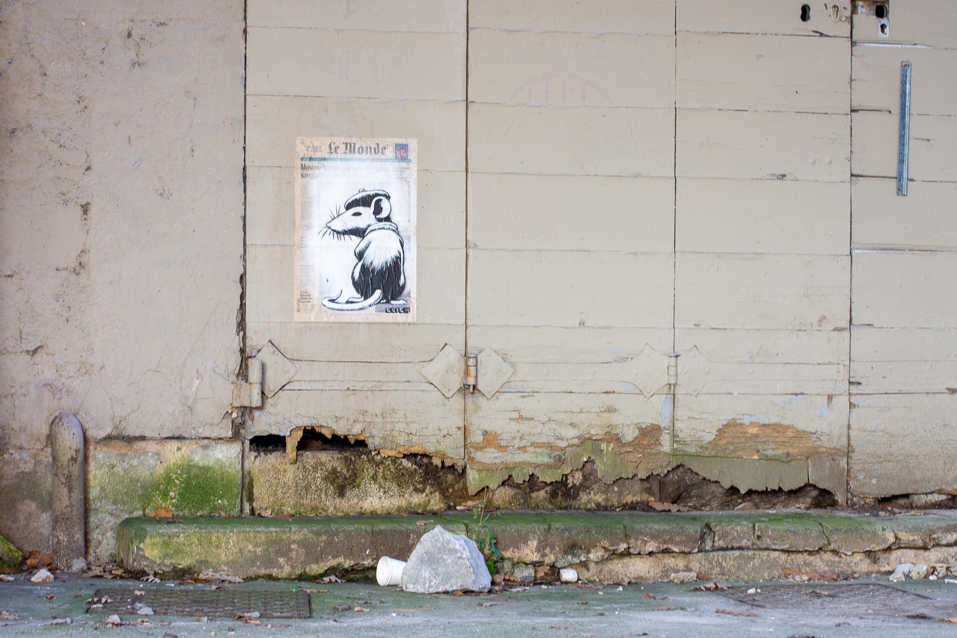 rat des villes.jpg