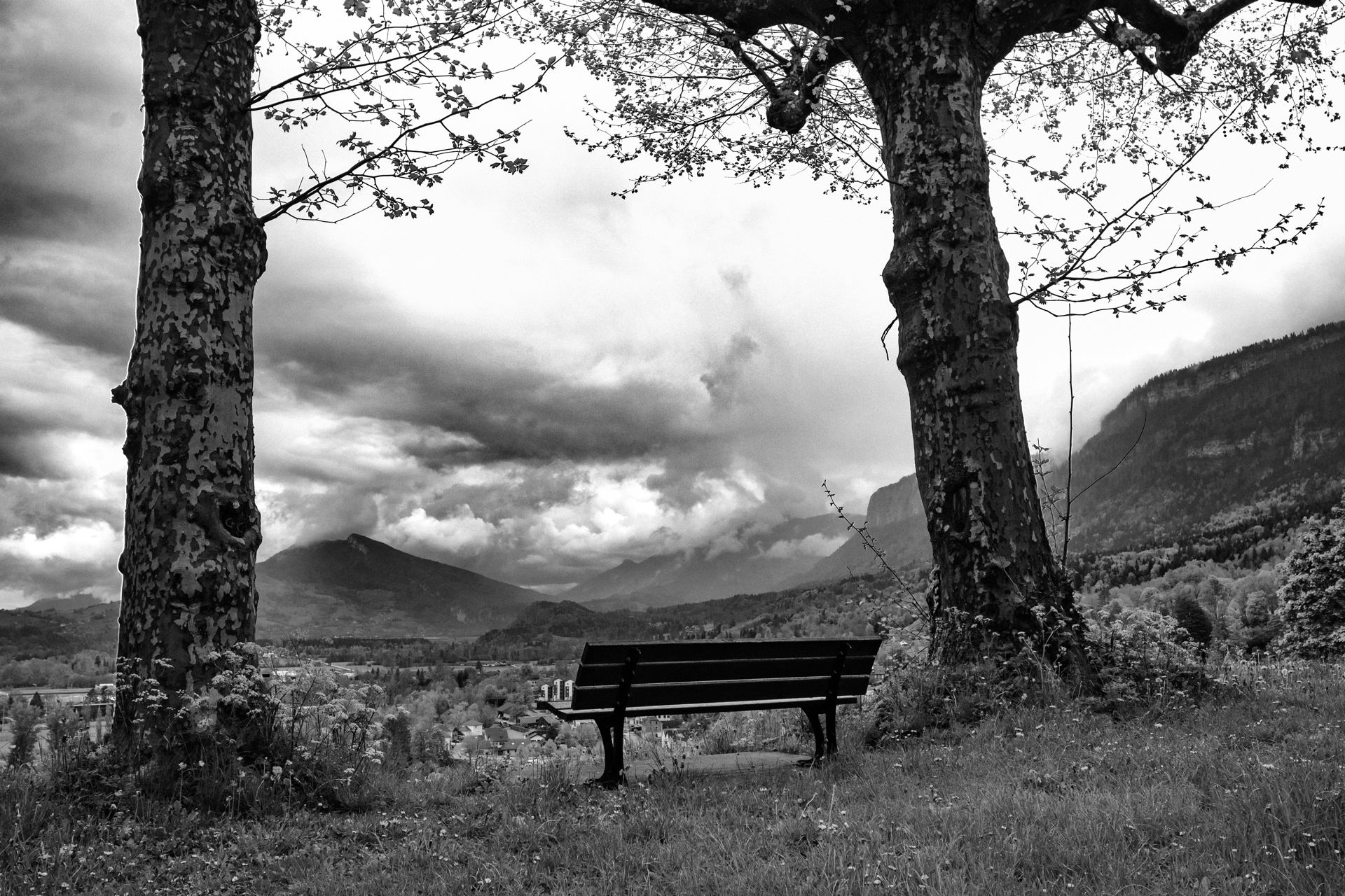vue sur les montagnes.jpg