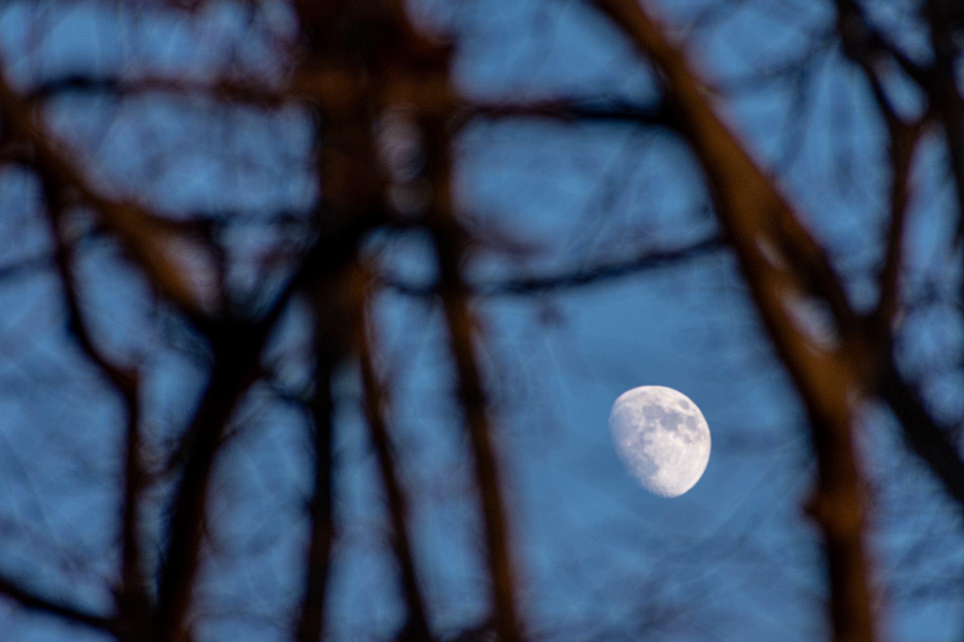 prisonnière est la lune