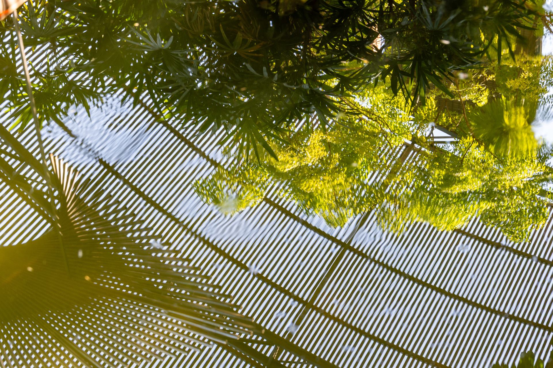 vert d'eau