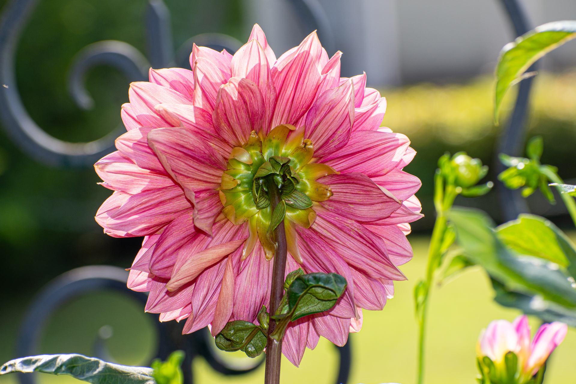 l'envers du décor 2