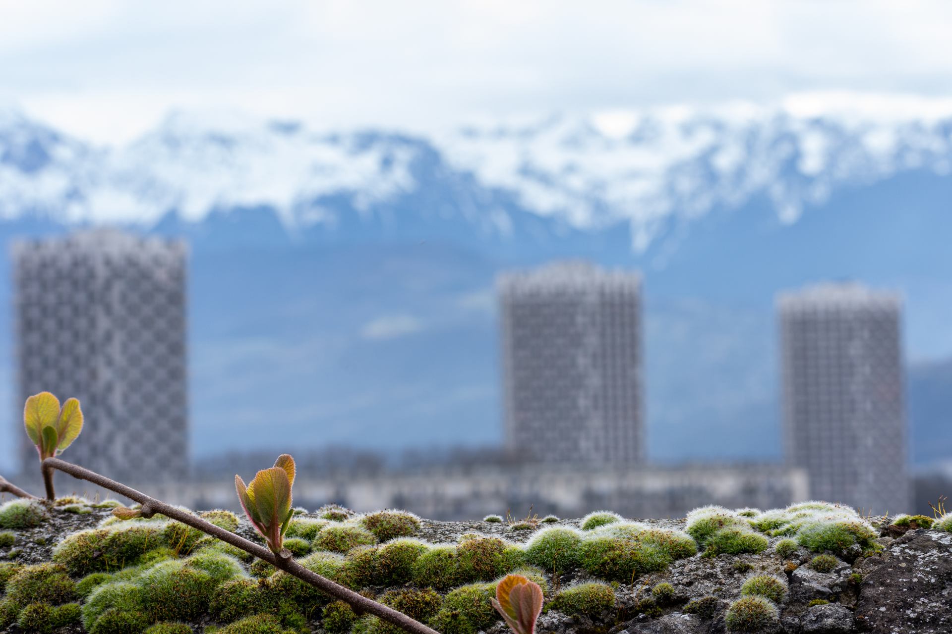la nature mais pas que 12