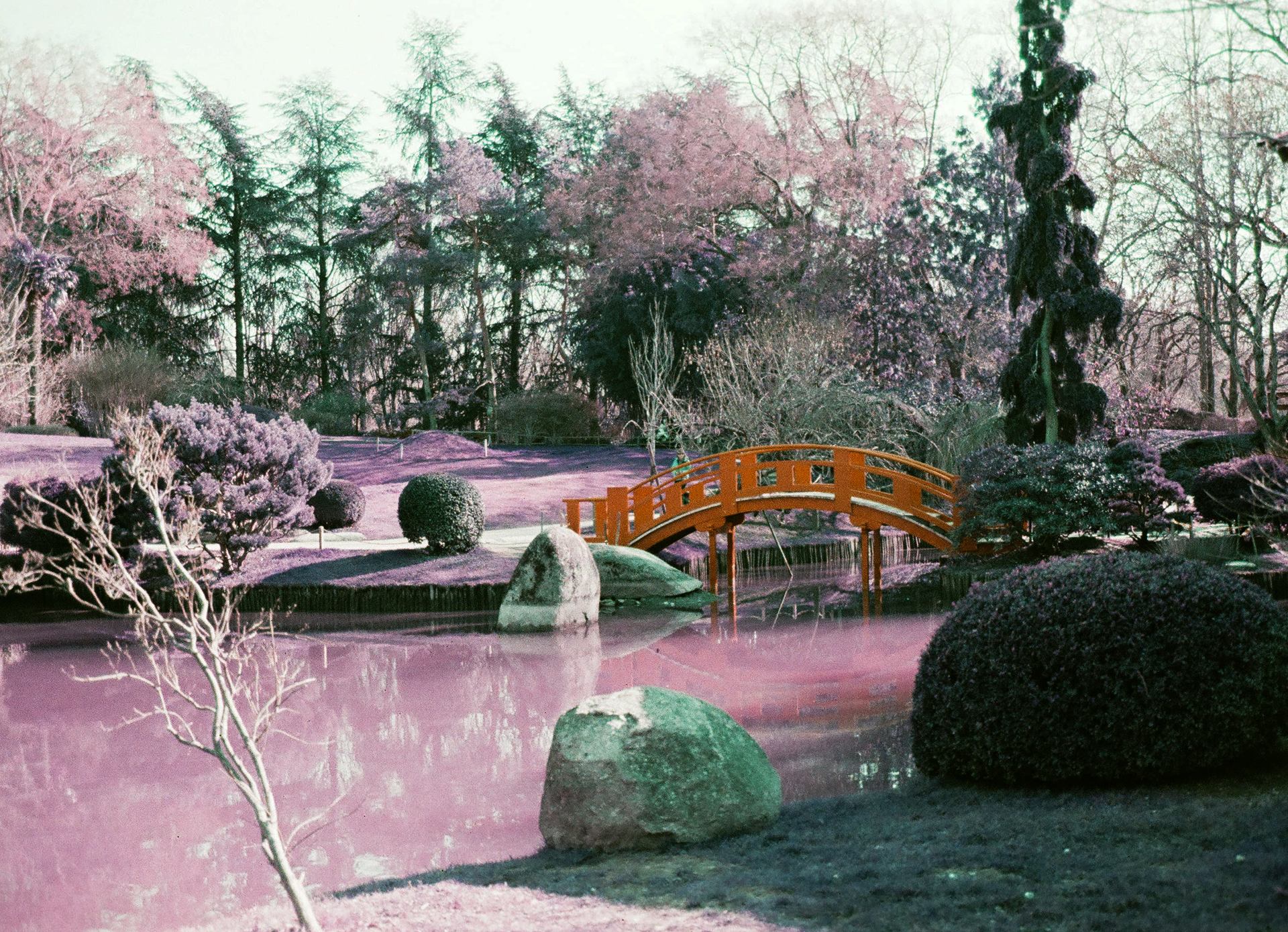 Paraíso