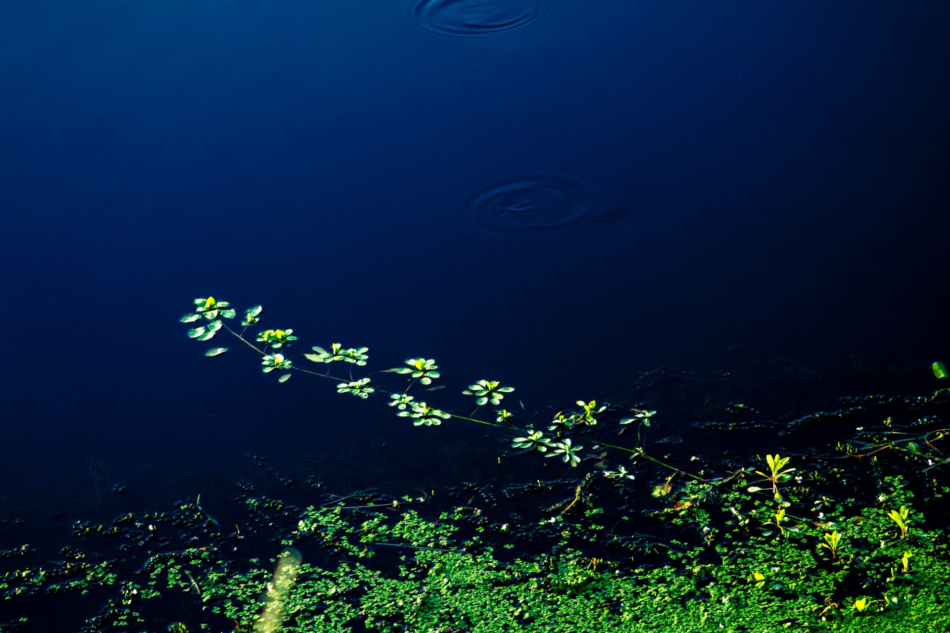 Au fil de l'eau