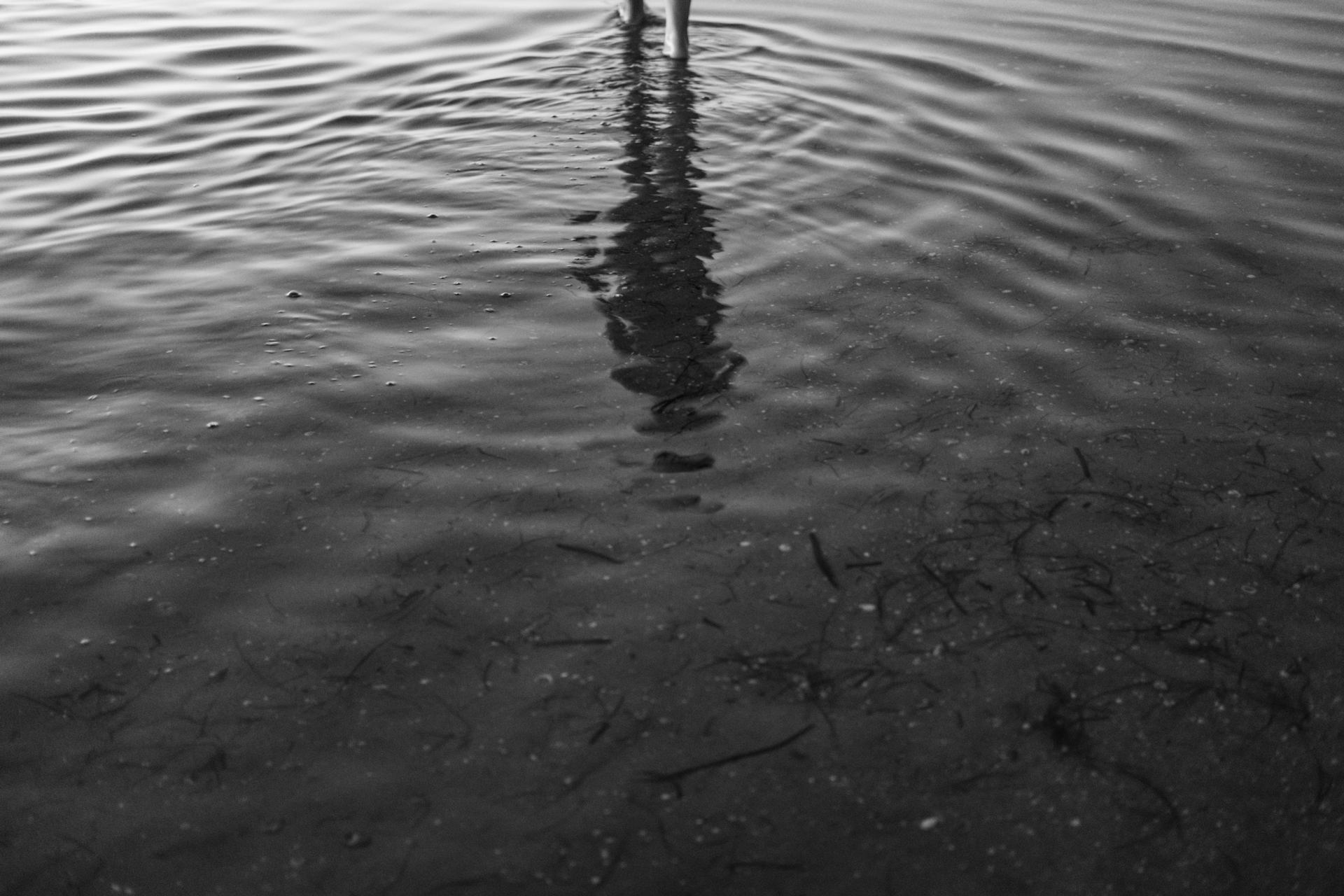 Dans le miroir
