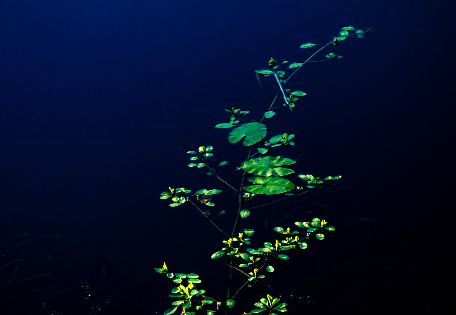 En surface #2