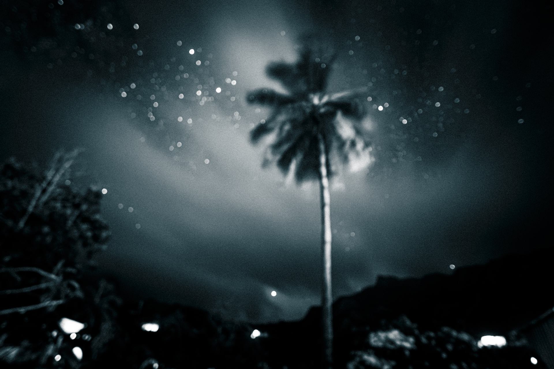 DSCF0586.jpg