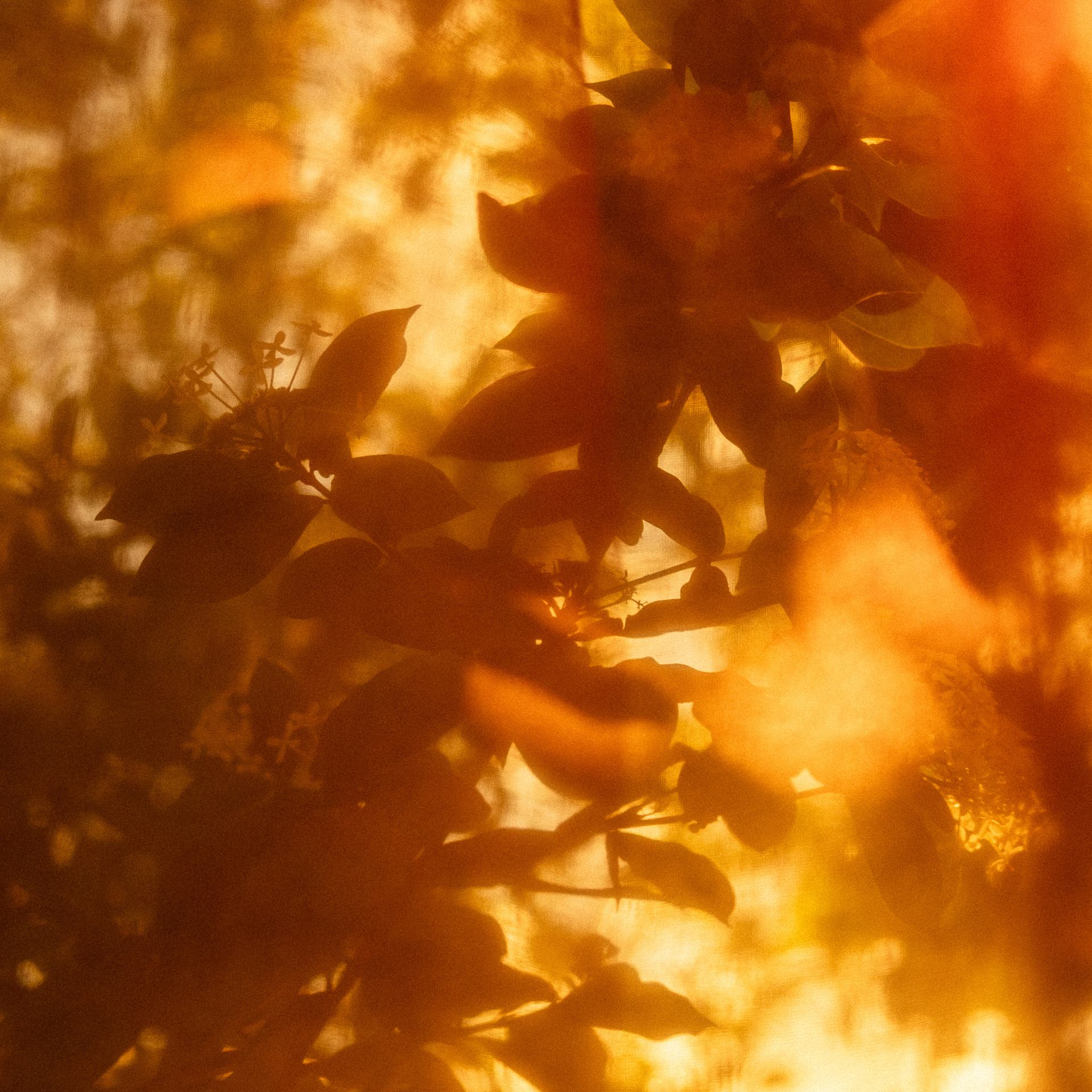 laisser passer la lmière