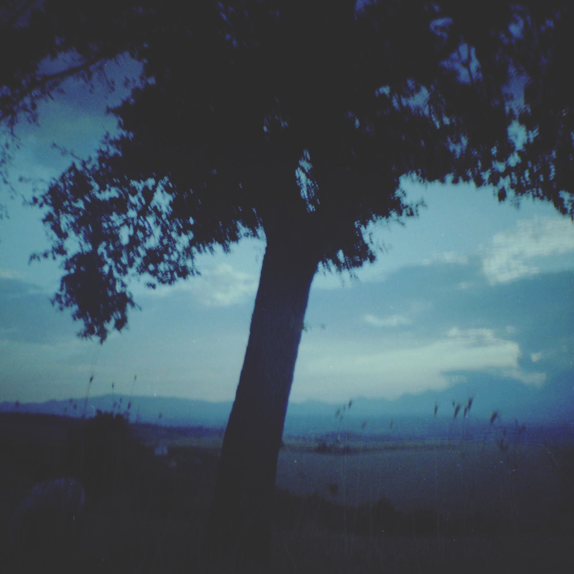 428DCE18-C367-4F1E-8E81-A820AF903227.jpeg
