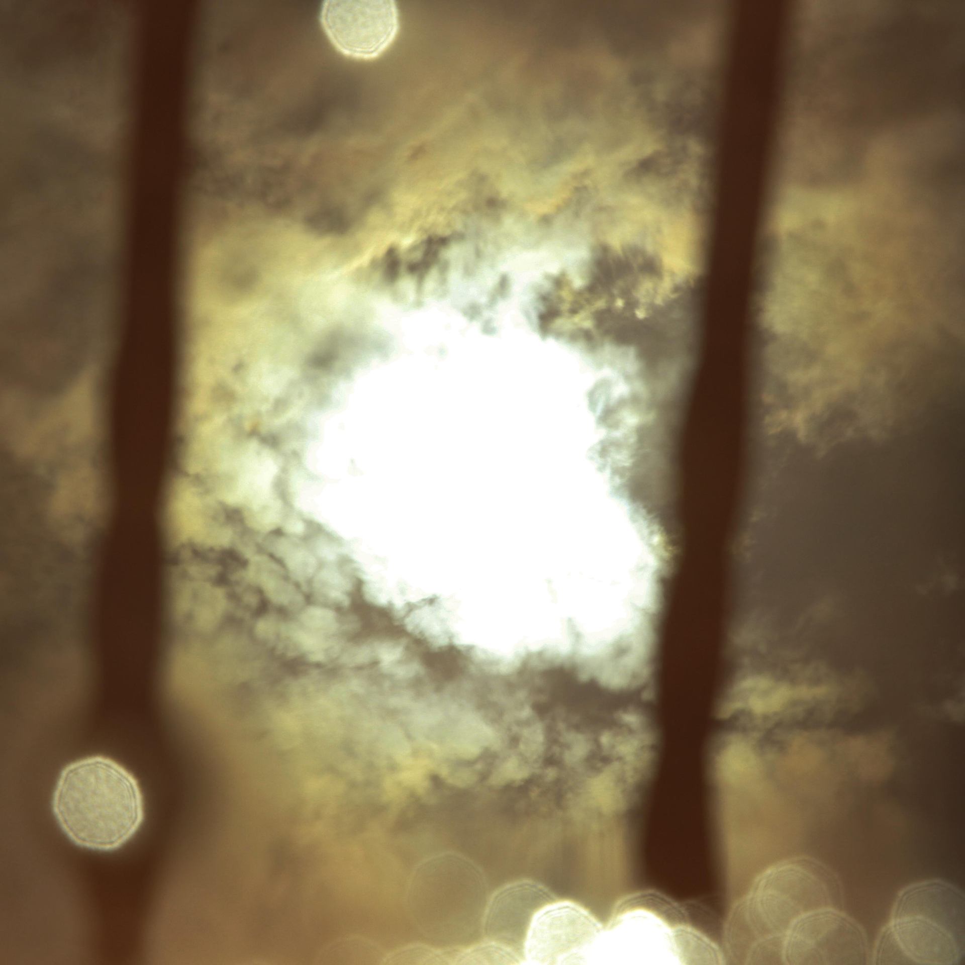 7524B3F9-42DE-4D50-ADC8-F4B51CAAA7CB.jpeg