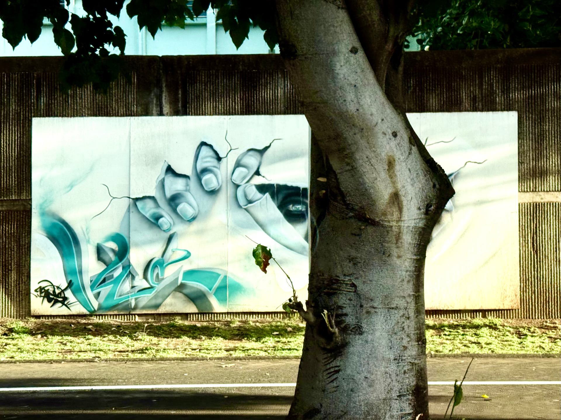 Un arbre dans l'oeil