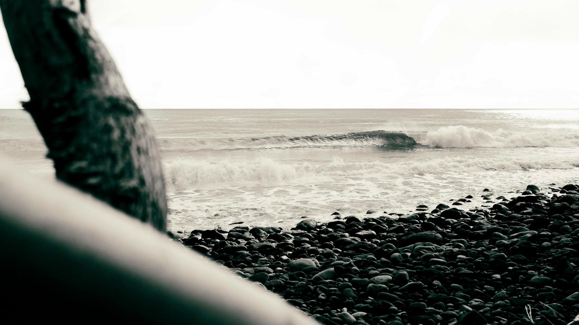 Good morning swell