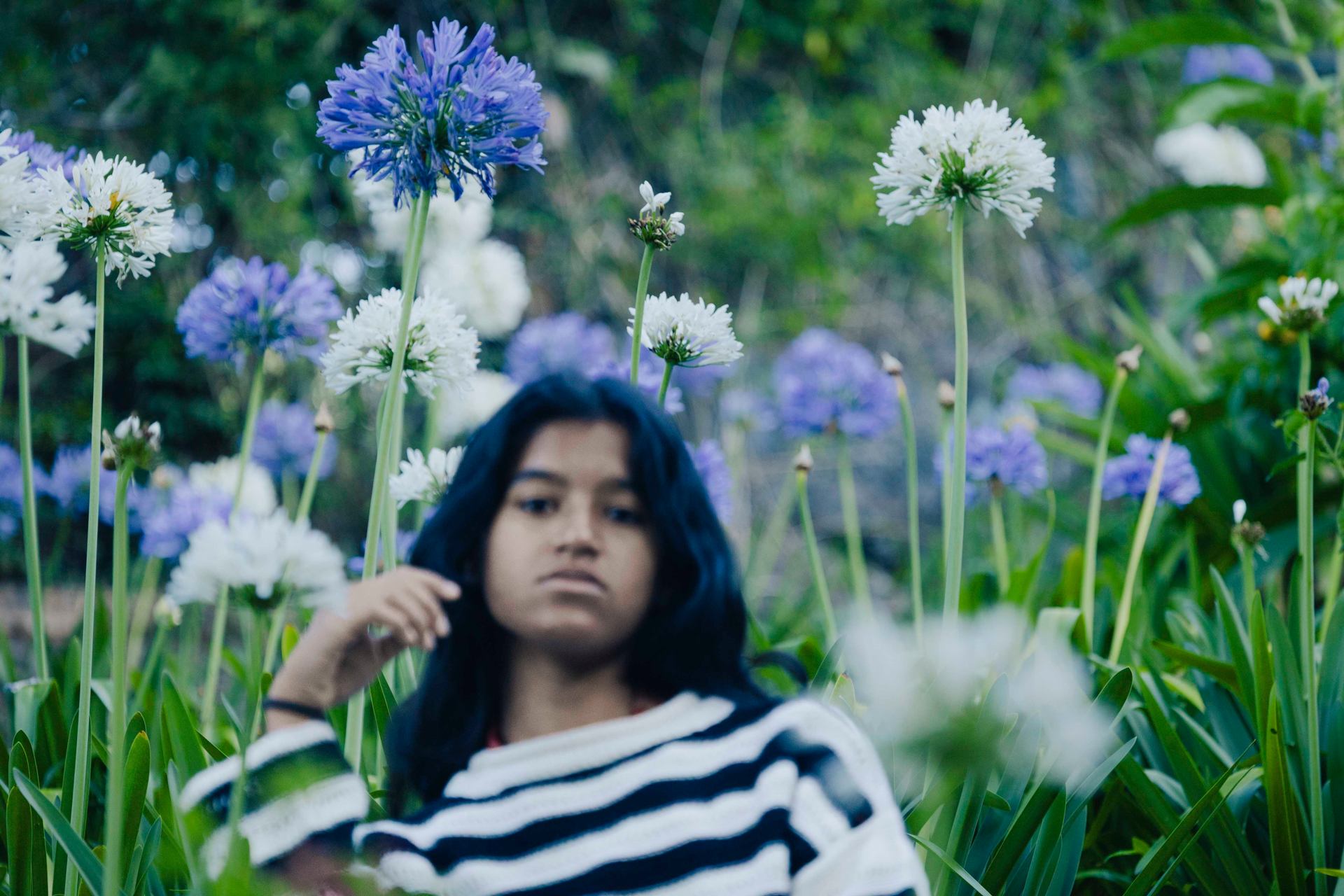 Devenir une fleur