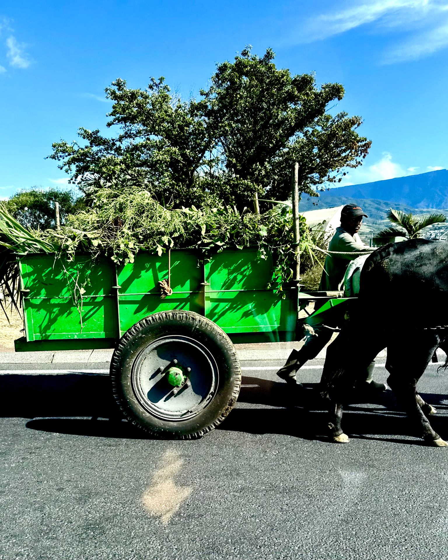 Le rond-point en charrette-boeuf