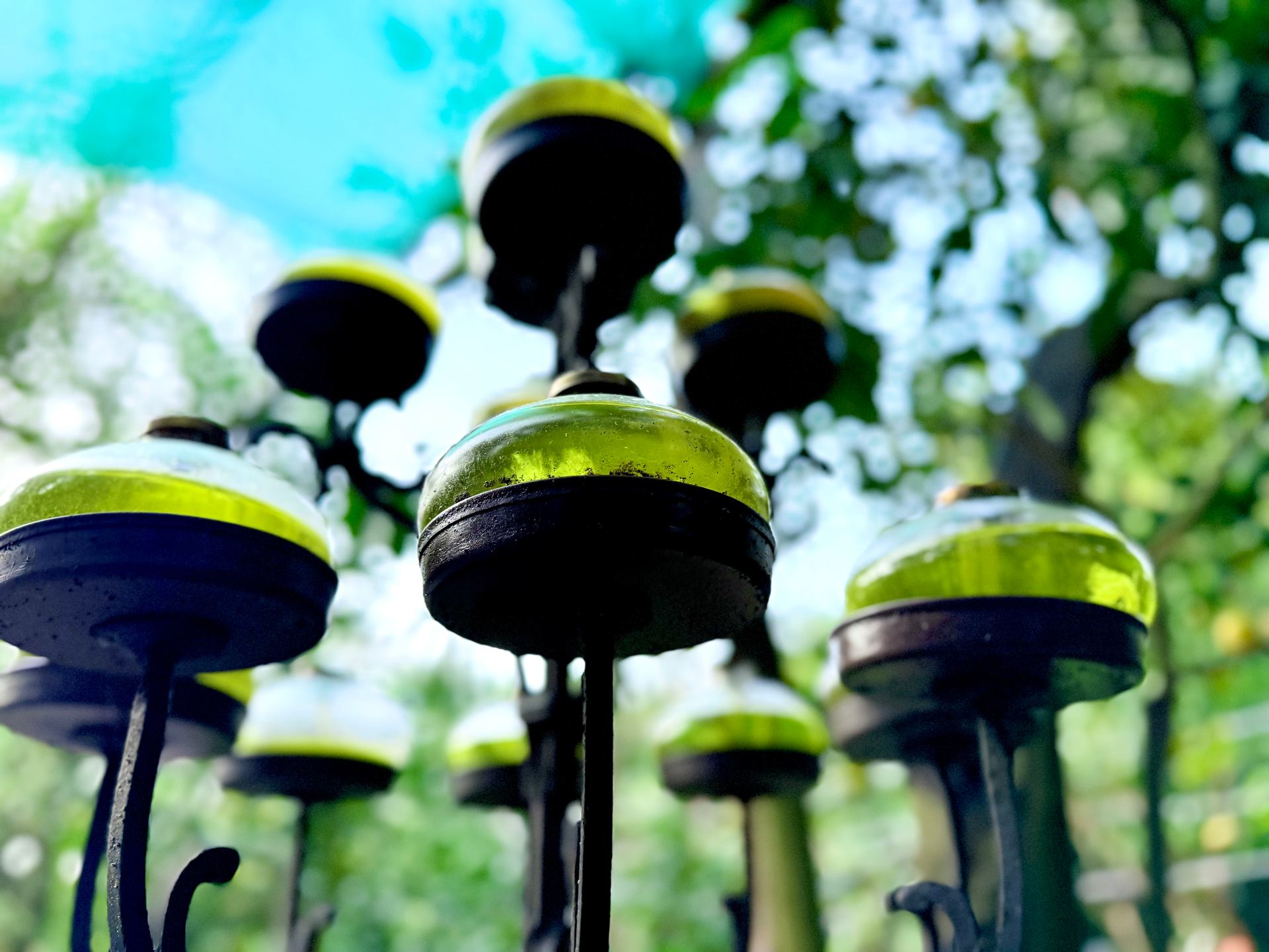 Looking for jaune citron