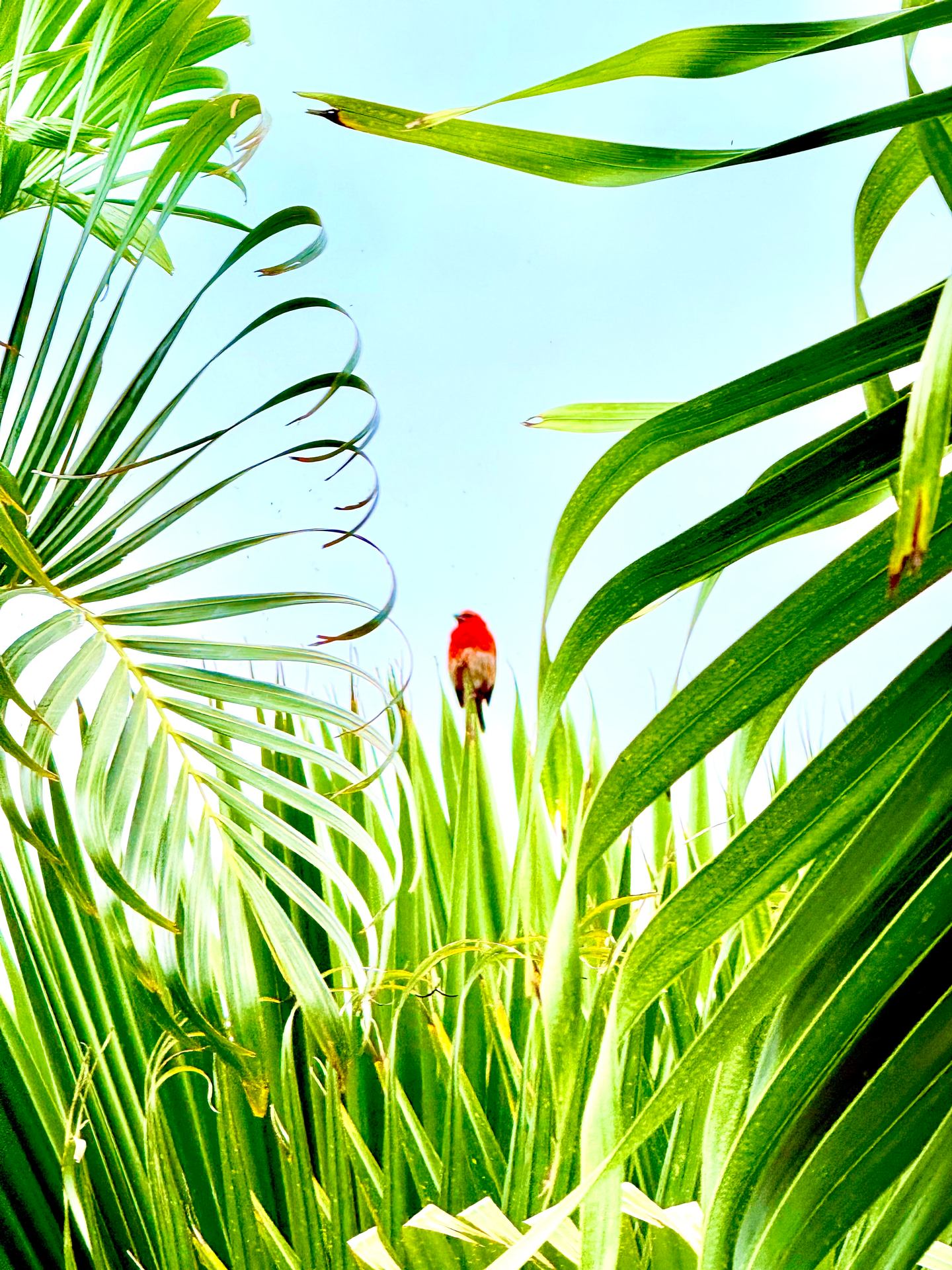 The right place to be