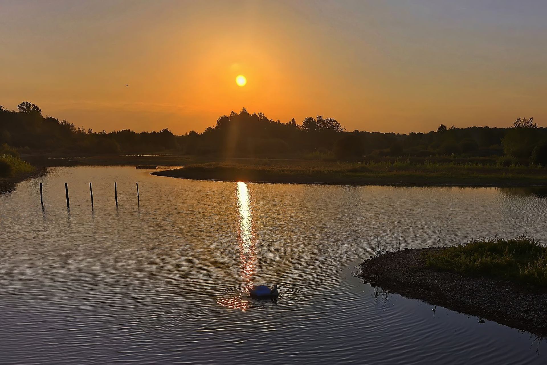 Levée ce matin à 5 h 30 du matin, direction Le lac de st-Cyr, (France, dépt Vienne, 08/25).jpg