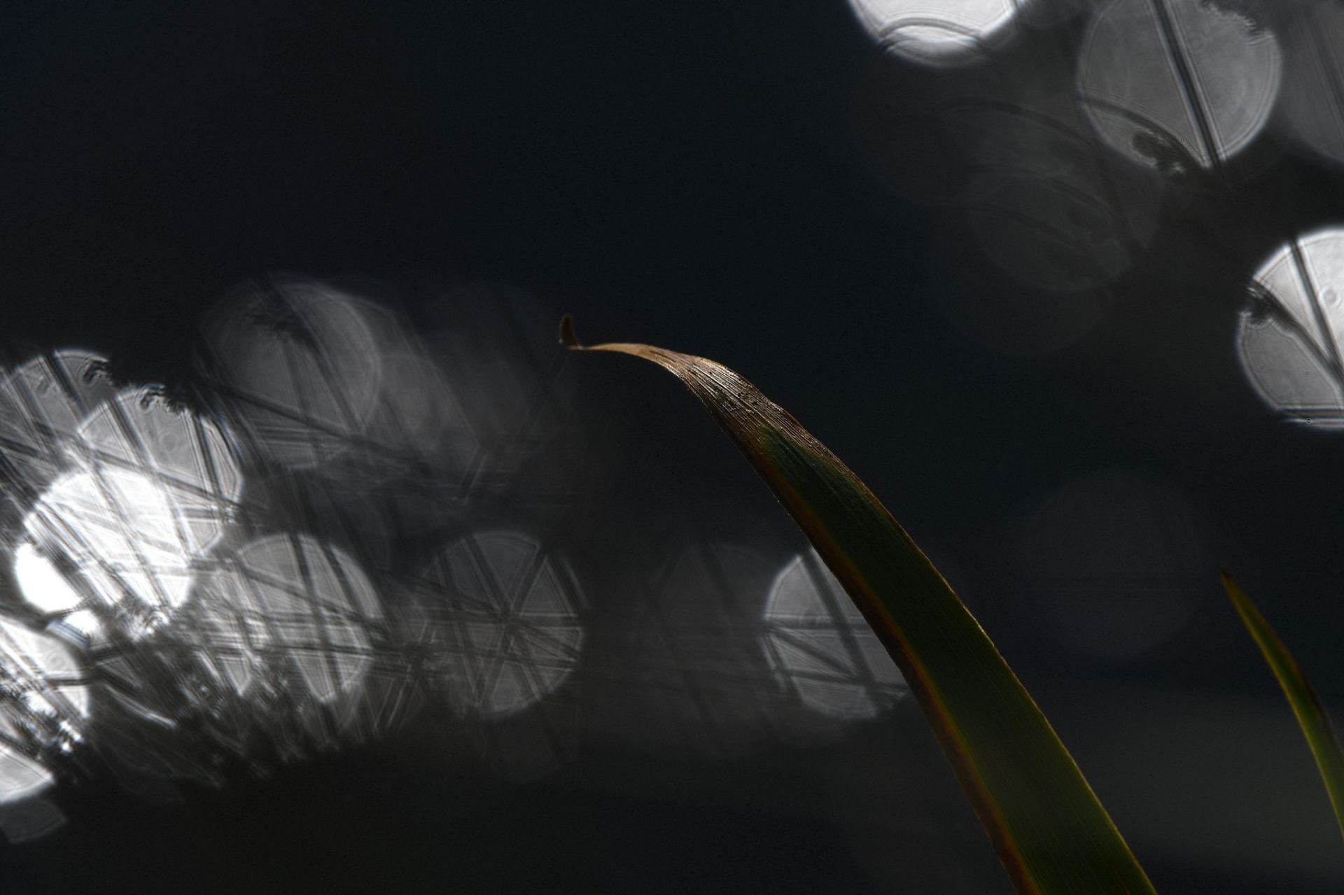 Un peu d'abstrait !!!