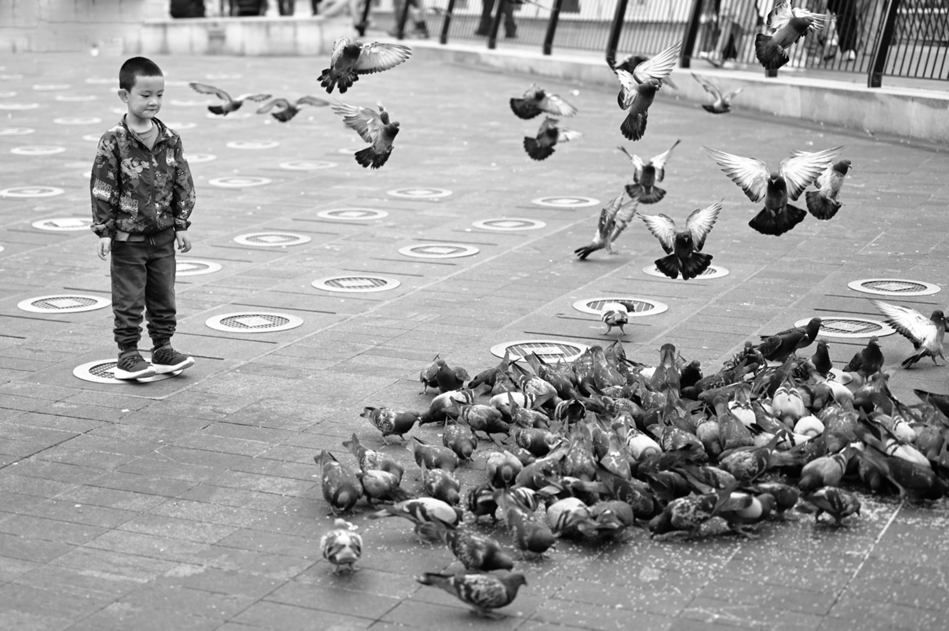 l'enfant et les pigeons
