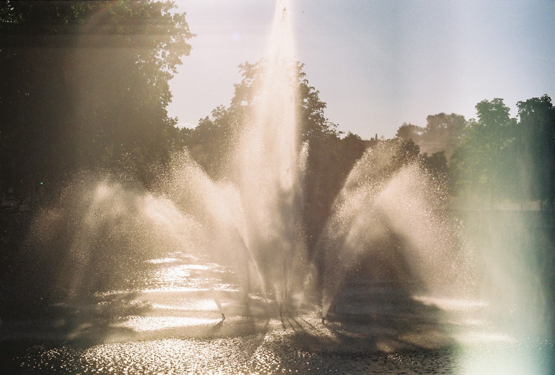 Les jardins de la Fontaine Nimes
