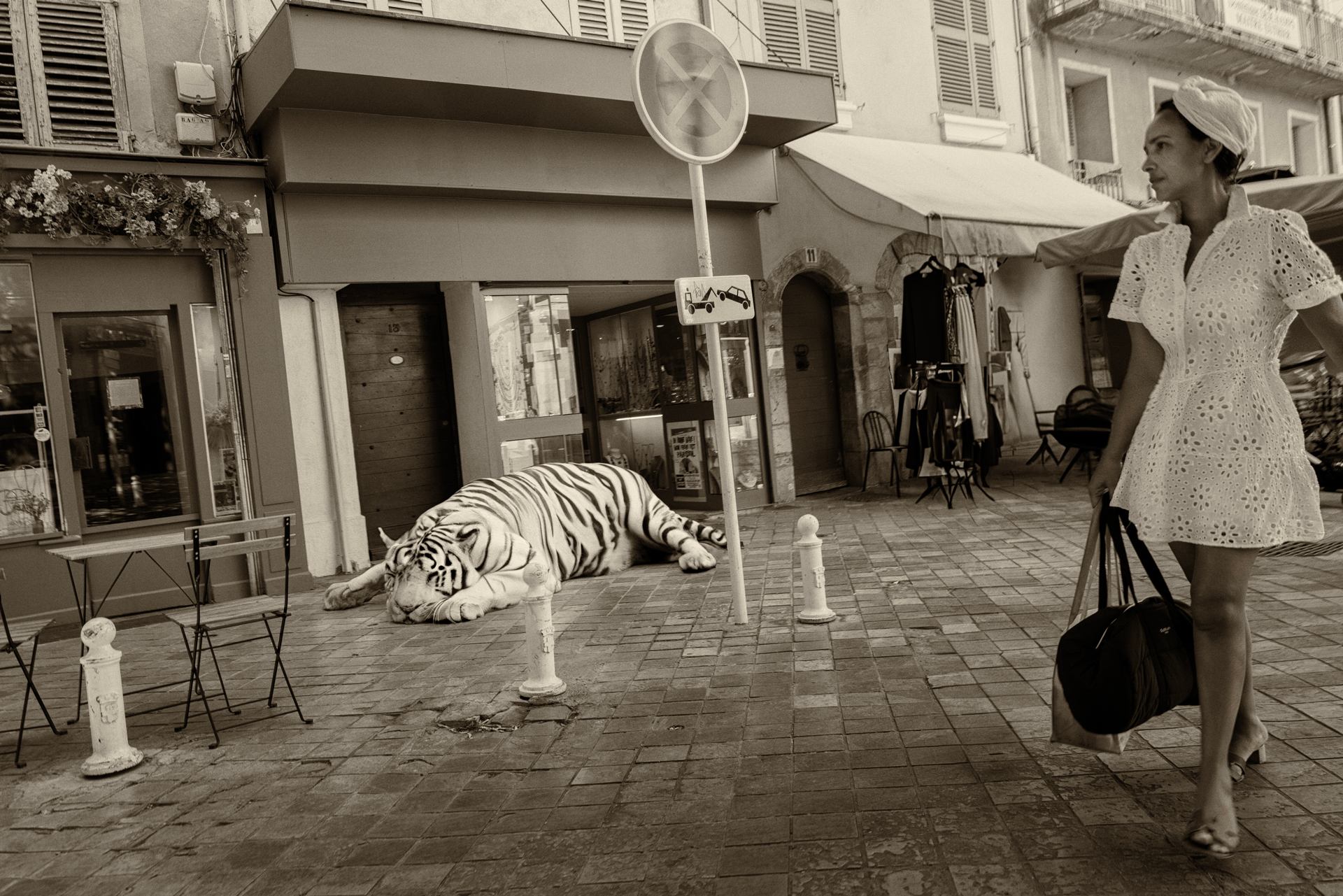 Tigre blanc