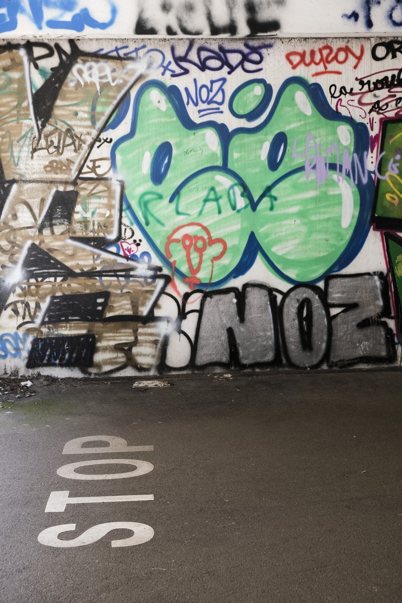_DSF9171.jpg