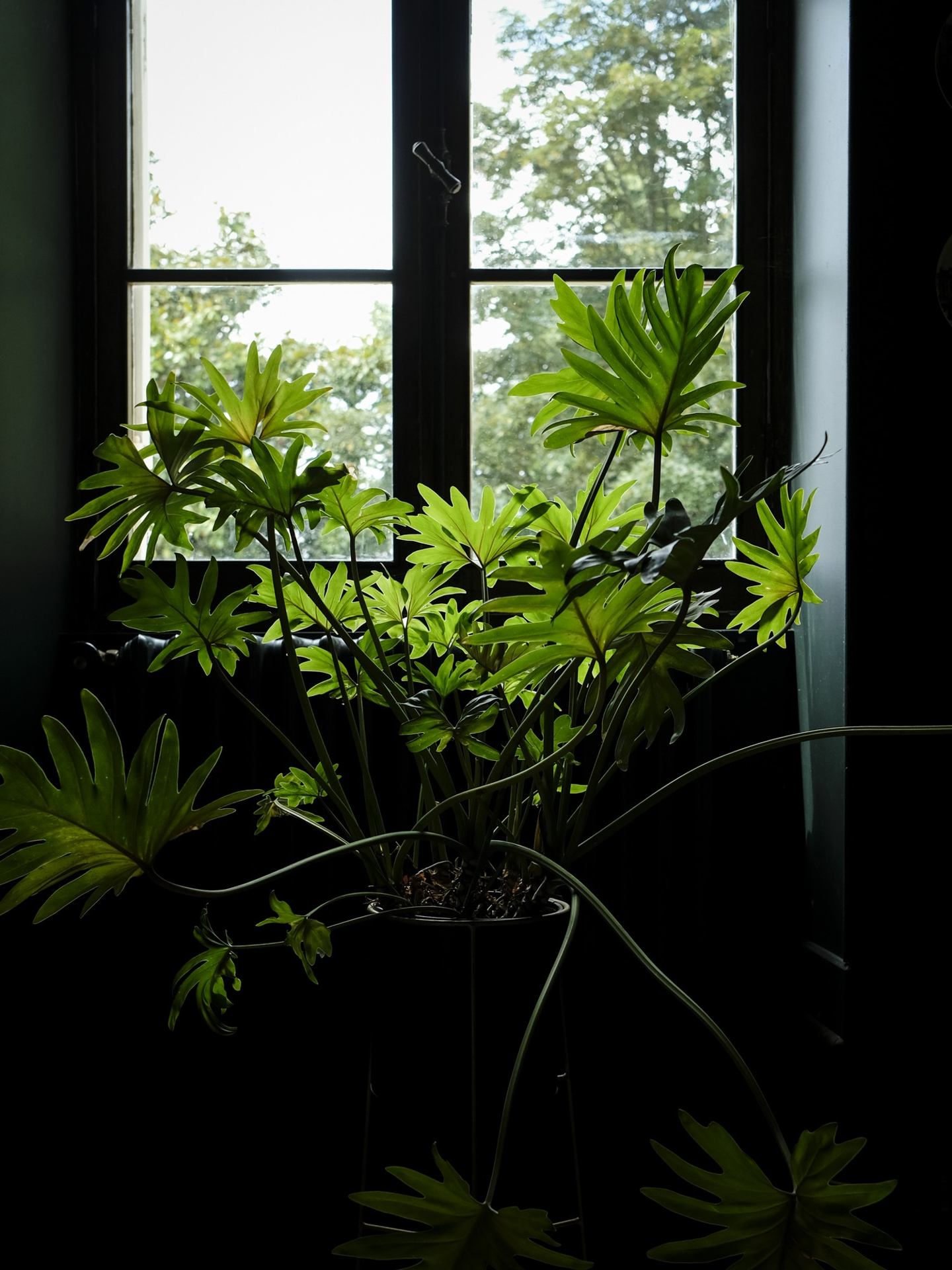 Grandir à l'intérieur