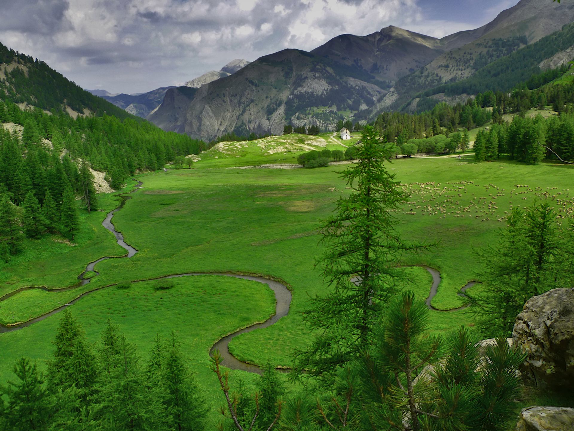 Allos prairie alpage