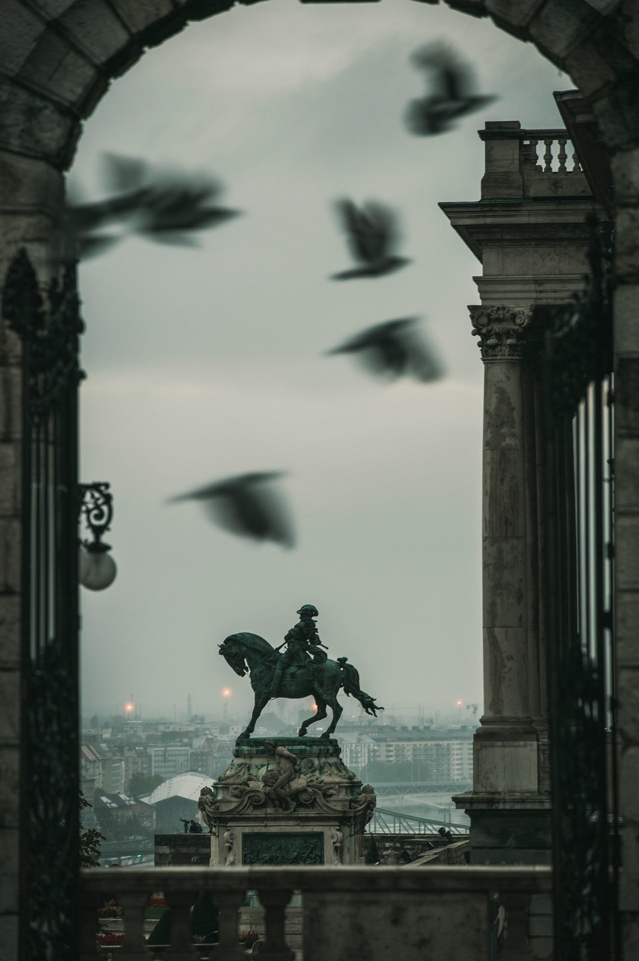 Eugene and the crows