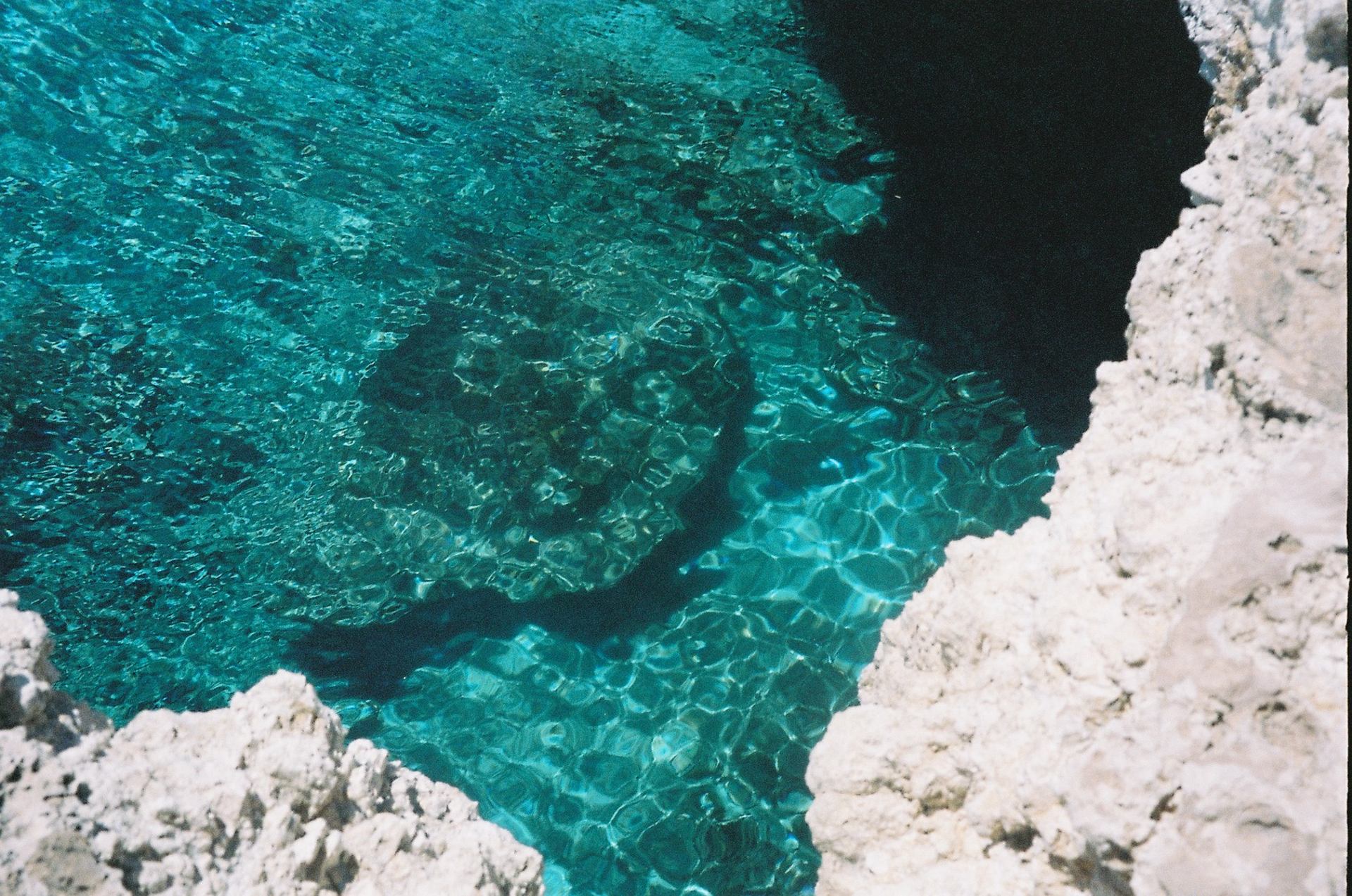 Le plongeon.JPG