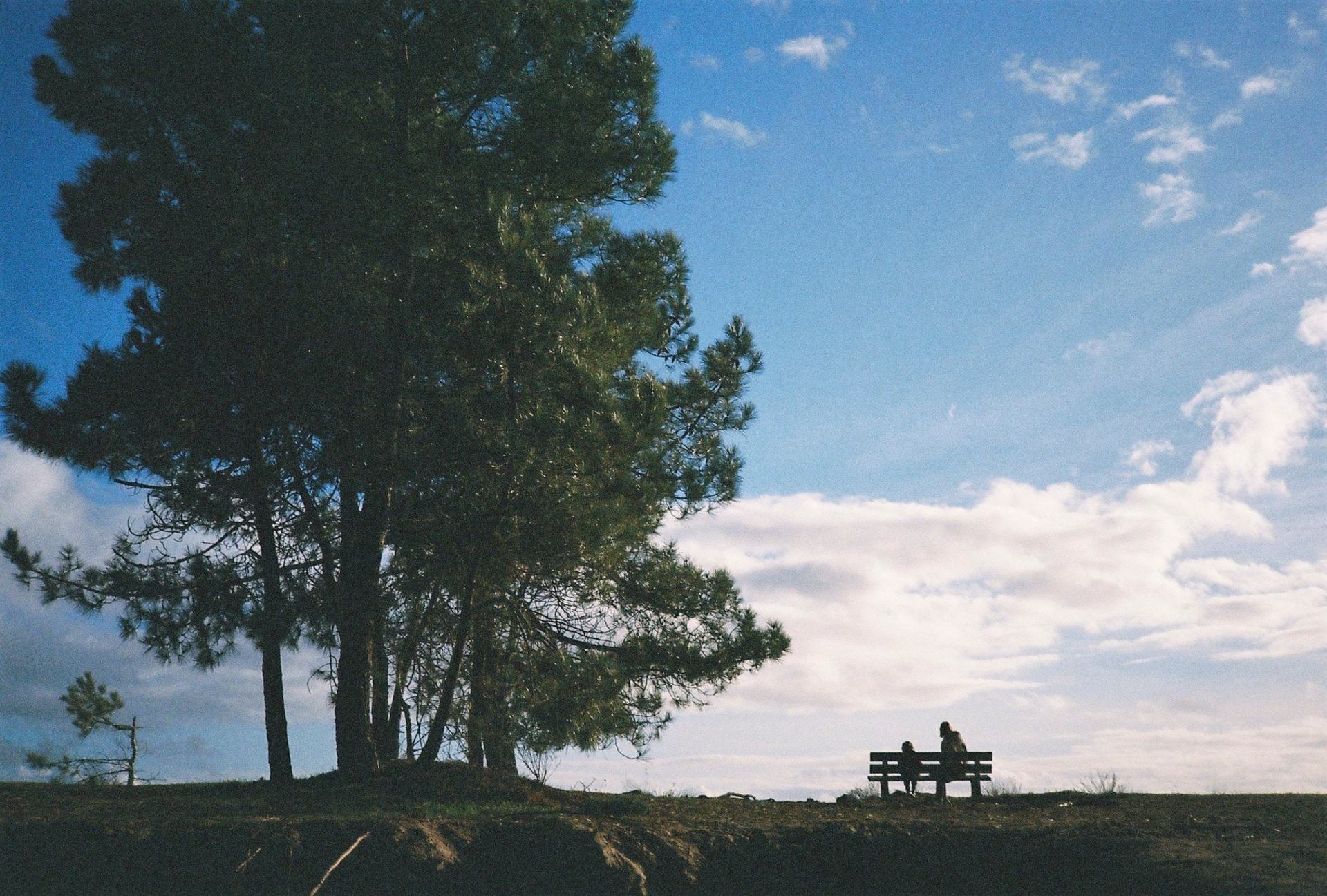 000056_4 1.jpg