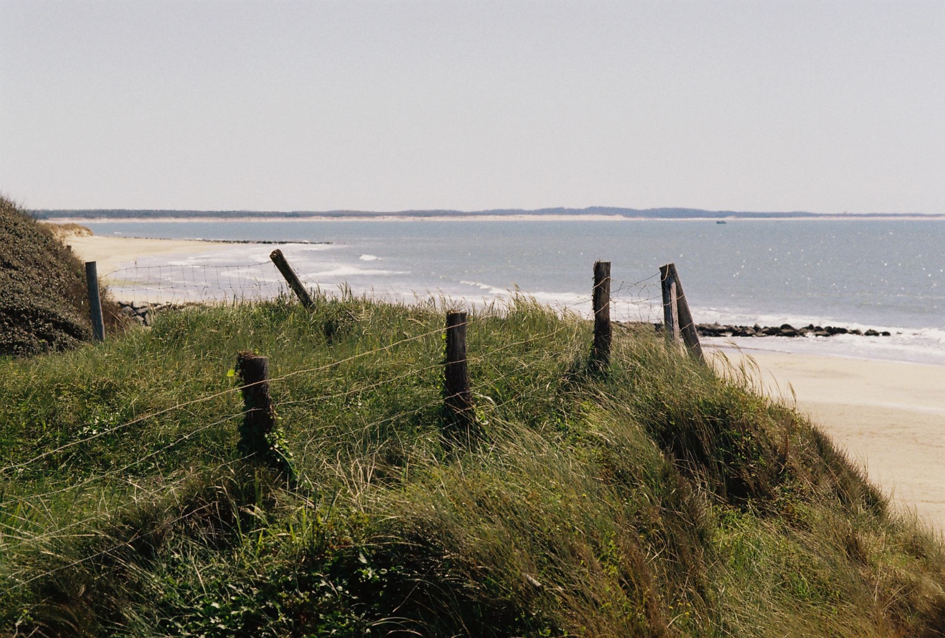 A028162-R1-37-36A.jpg