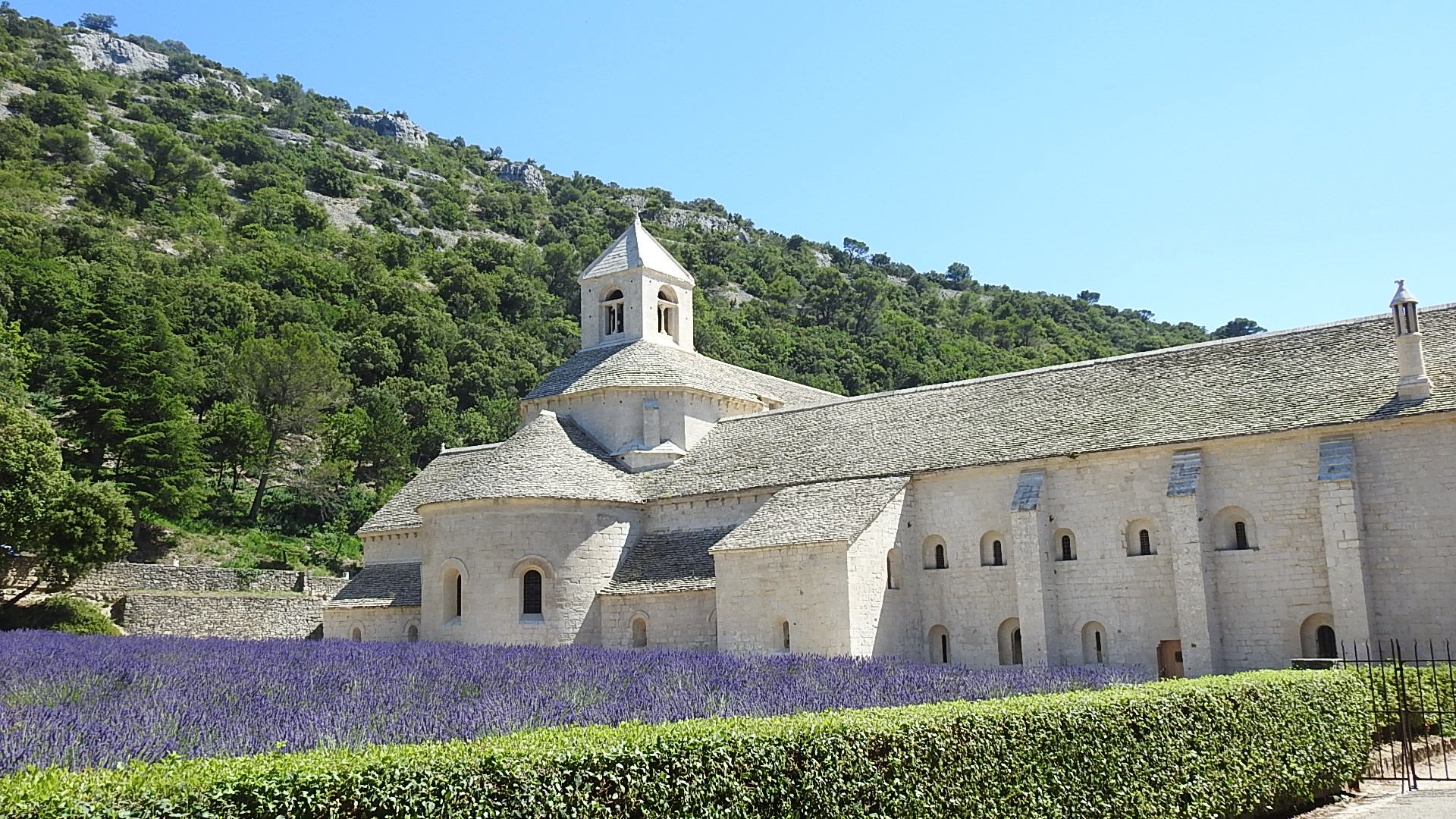 Abbaye de Senanques Vaucluse