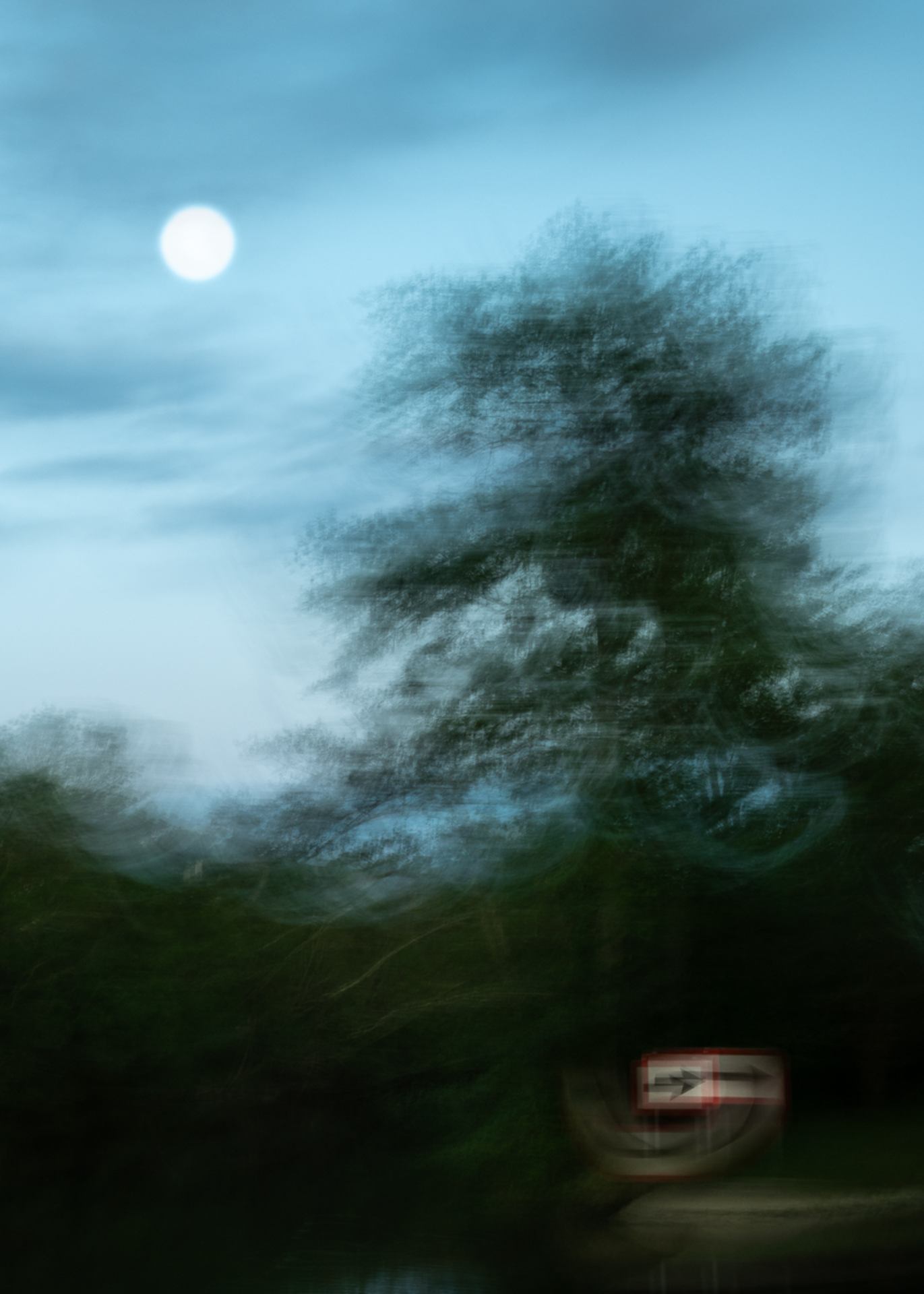 Bords de l'Yonne au clair de lune
