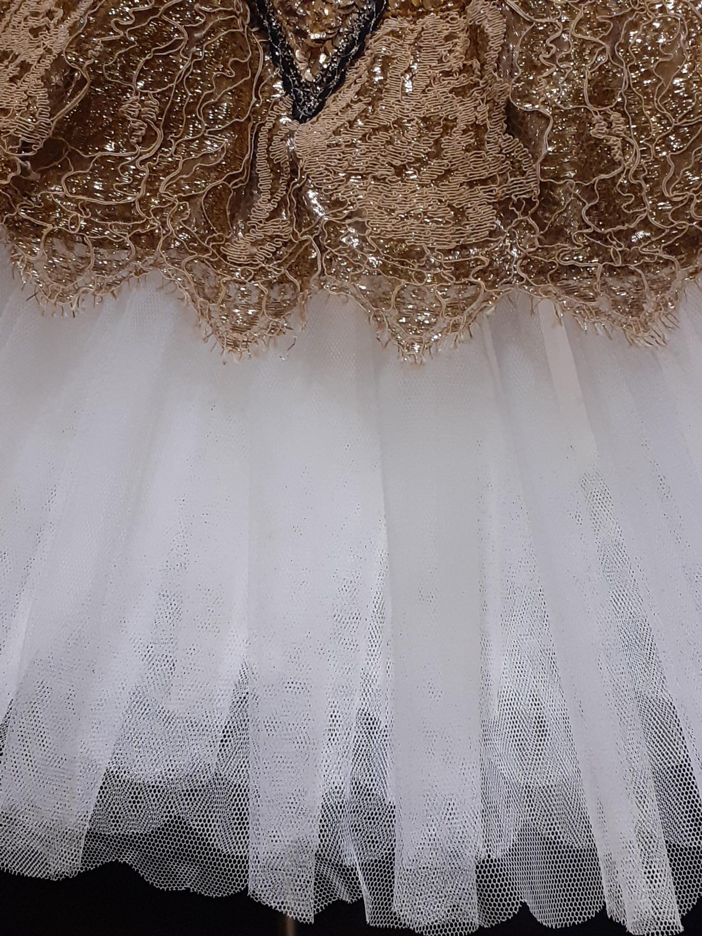 Détail (fée Dragée).jpg