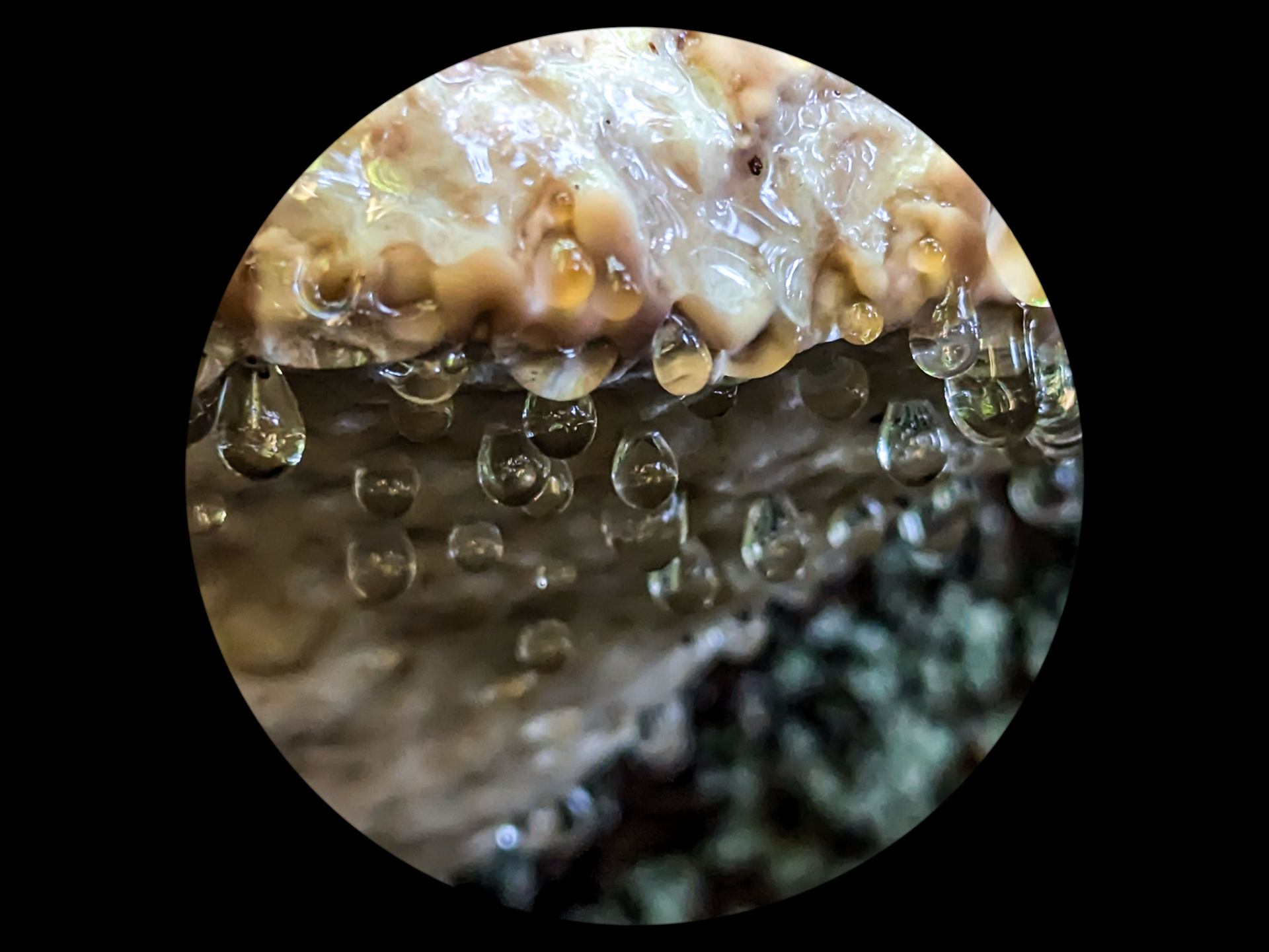 De goutte et de goutte