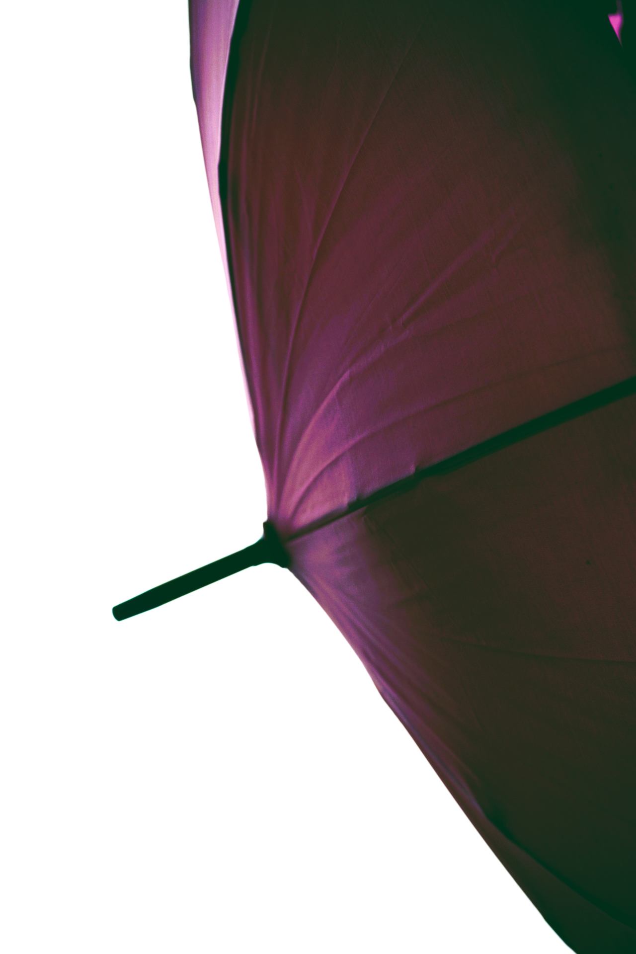 _DSC0055 - Copie (3).jpg