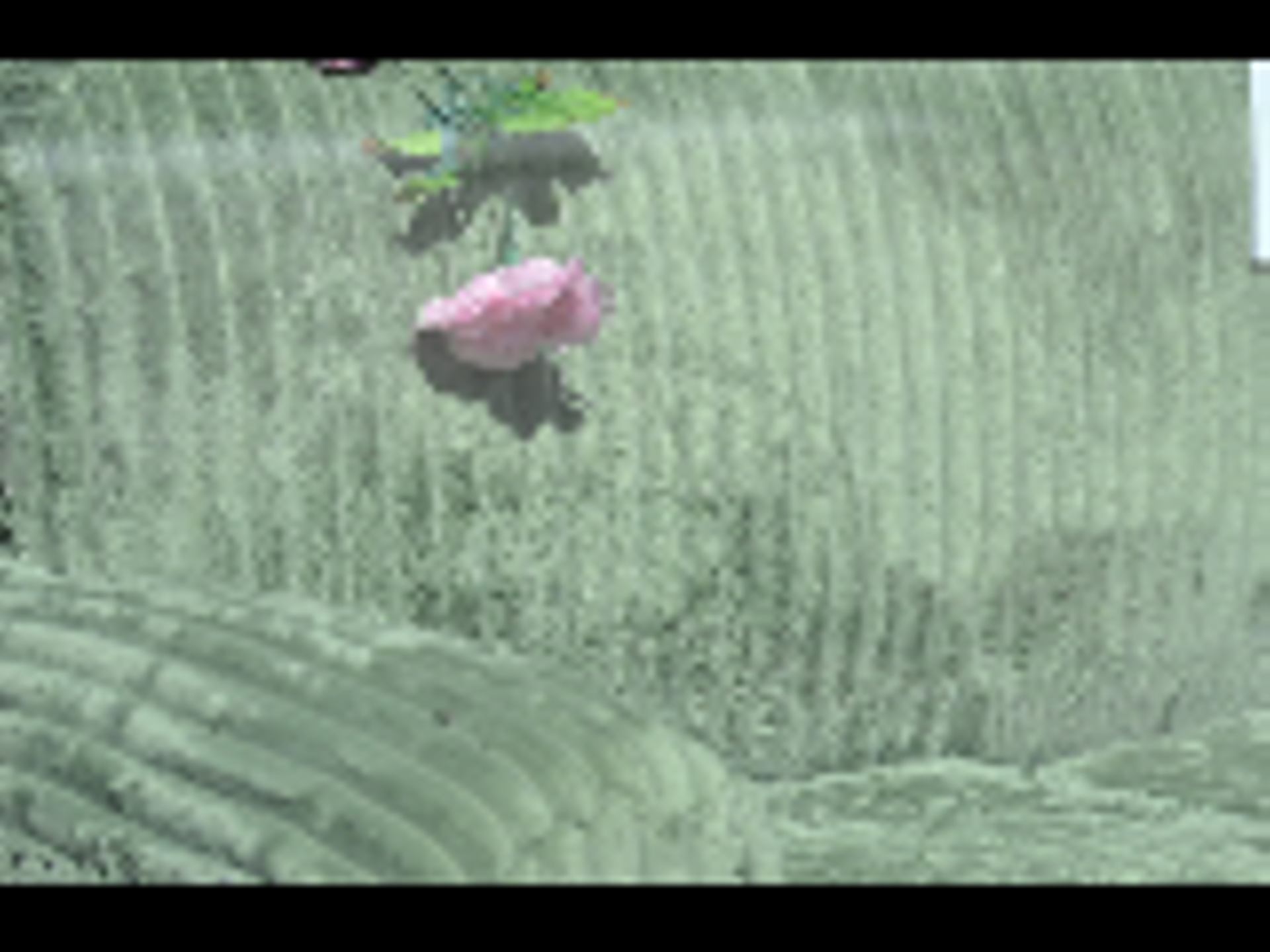 _DSC0034 - Copie (2).NEF