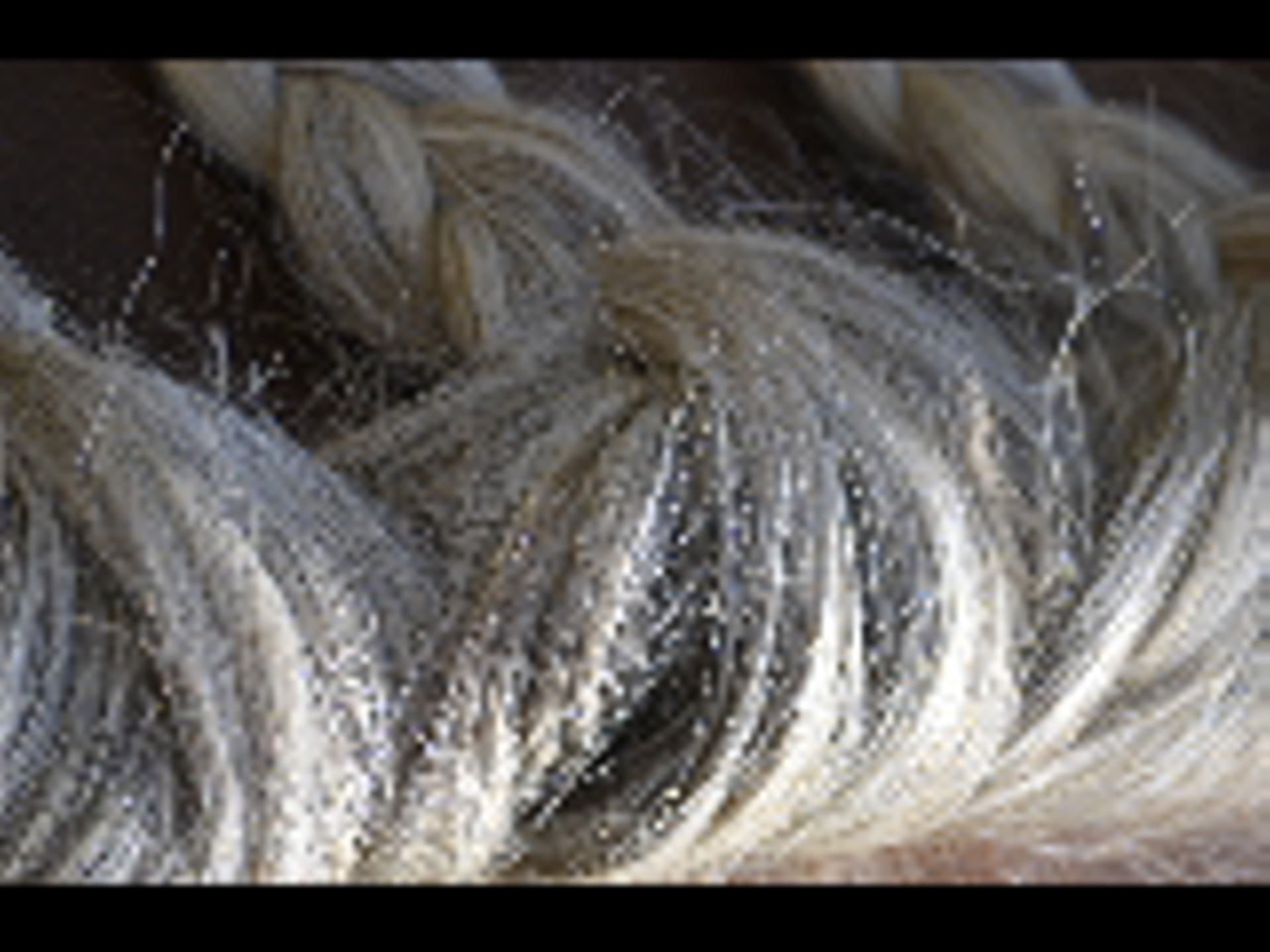 _DSC0053 - Copie (2).NEF