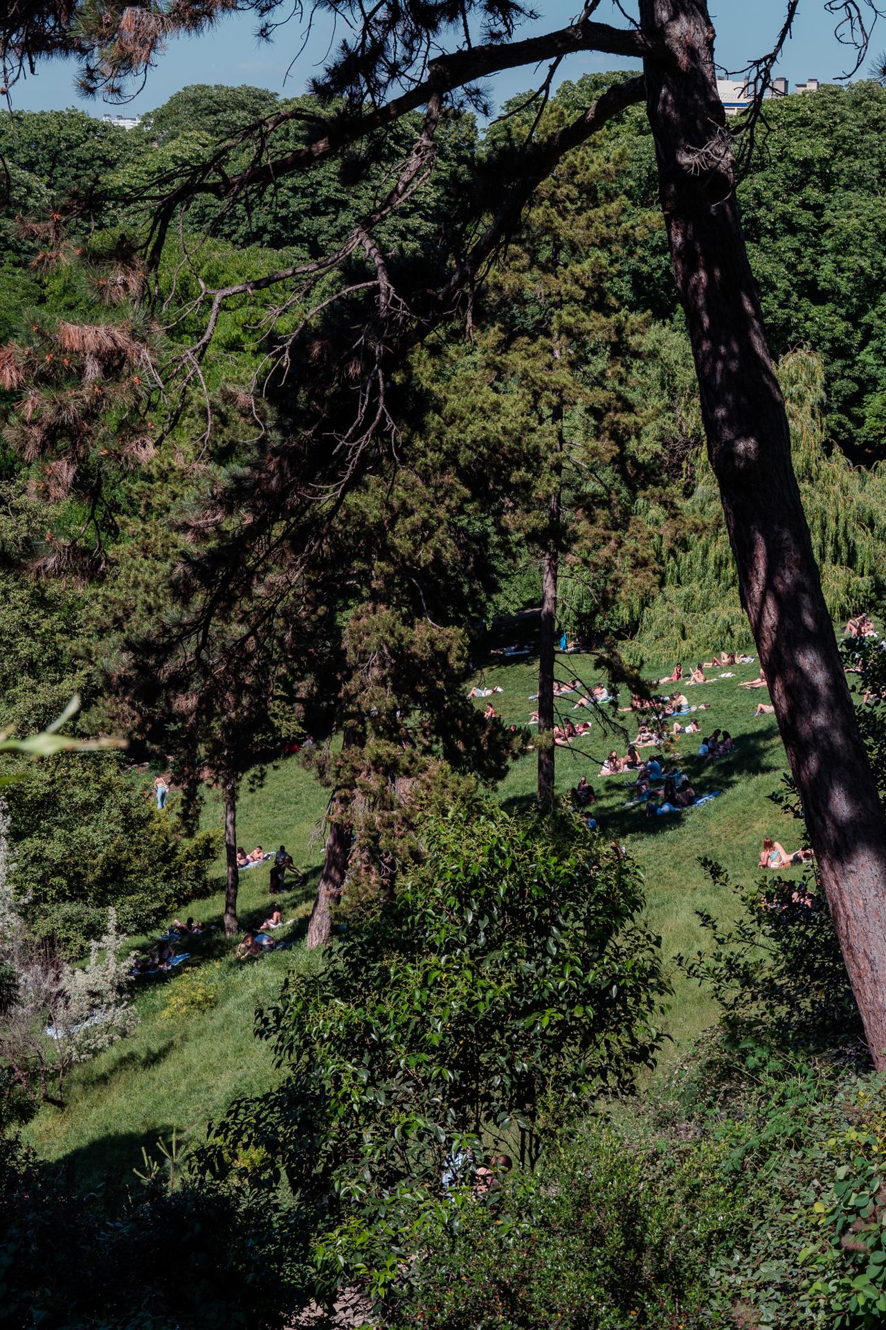Jardin partagé.jpg