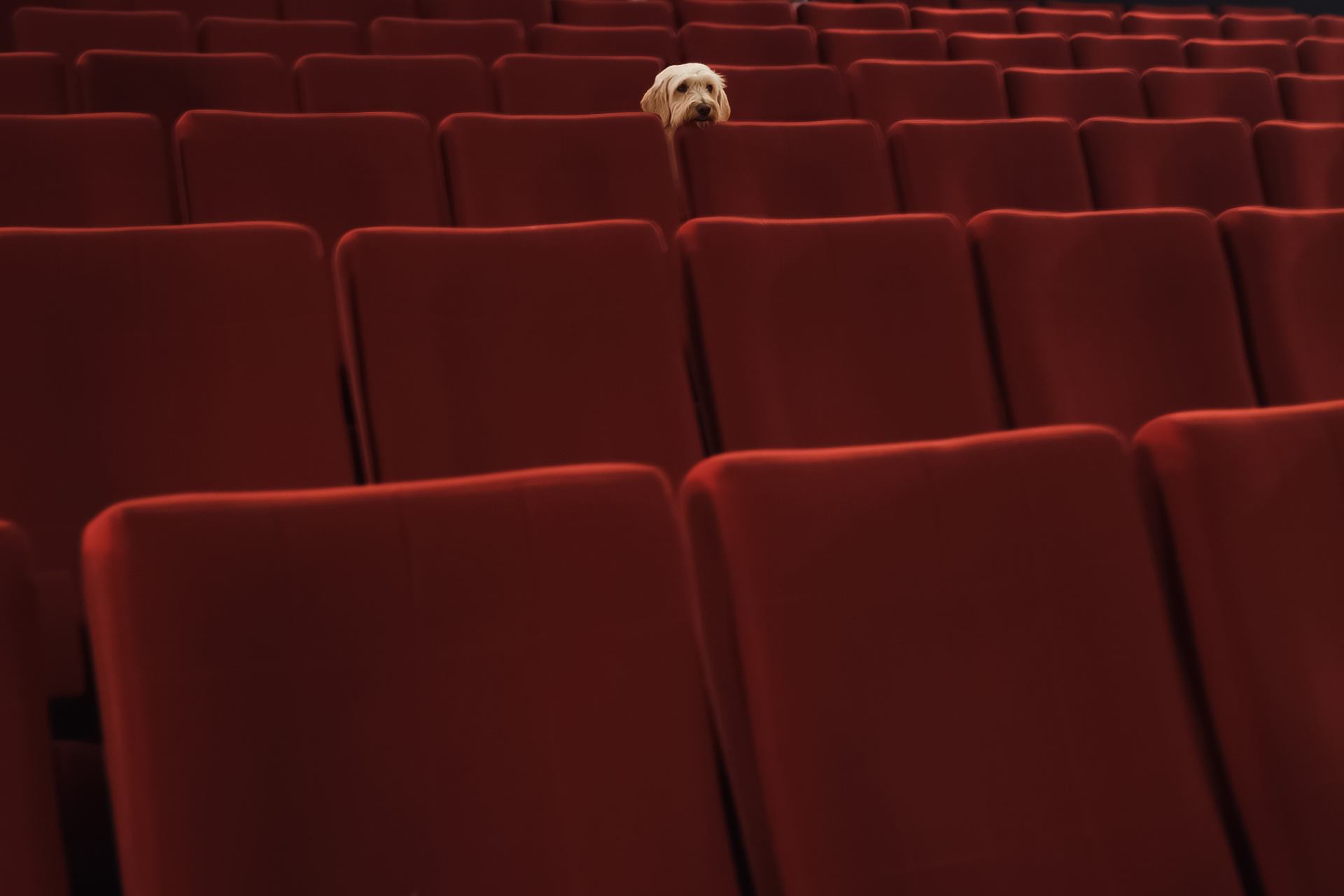 2023-01-01 15-48-15.jpeg