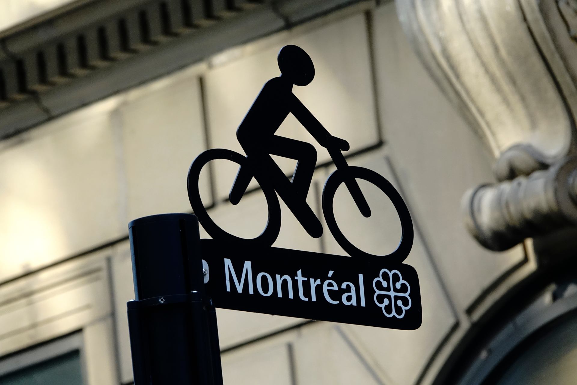 Sport à Montréal