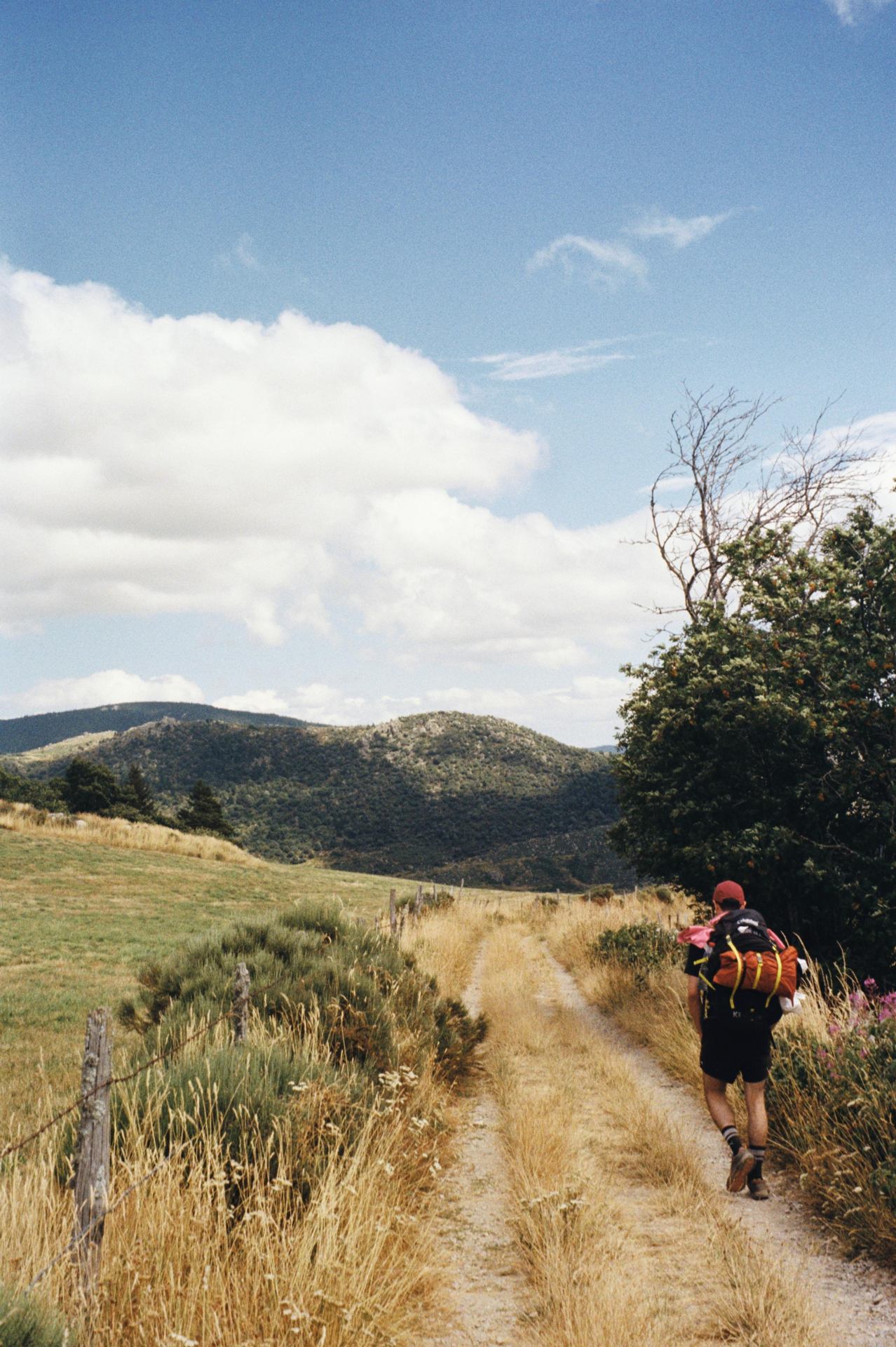 Tête de peloton