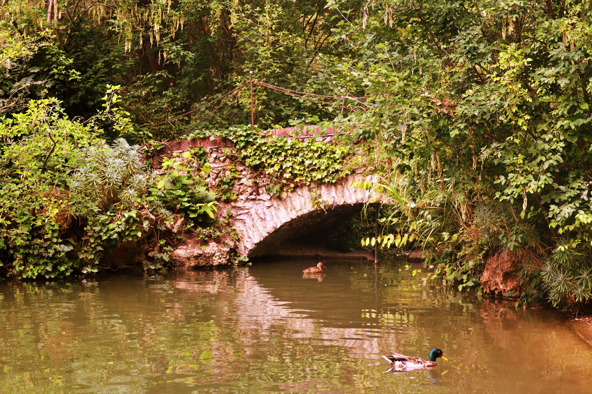 photo 5.jpg