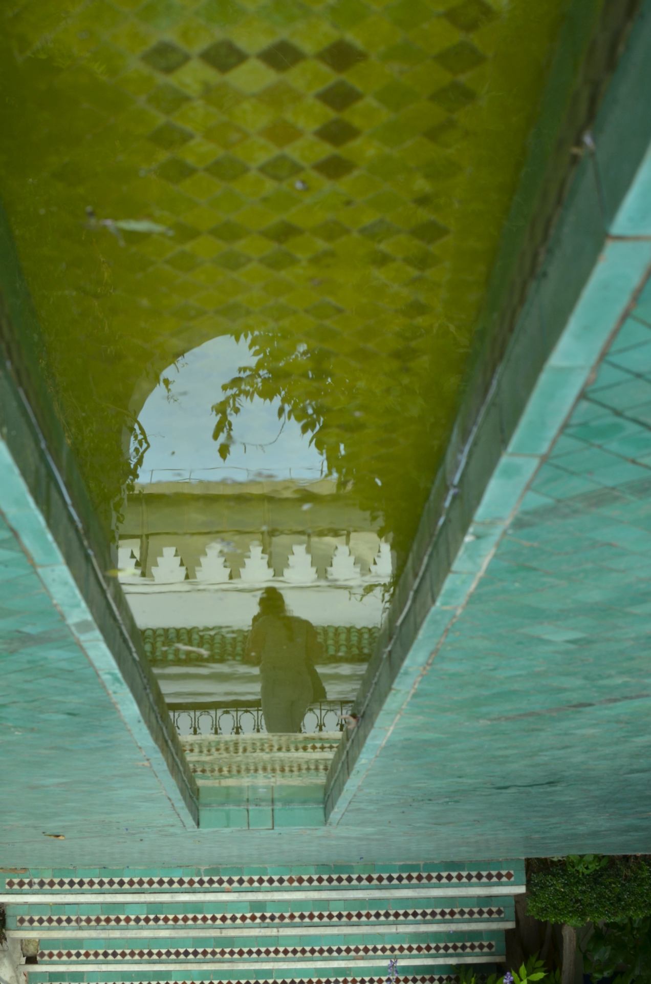 jardin_1.JPG