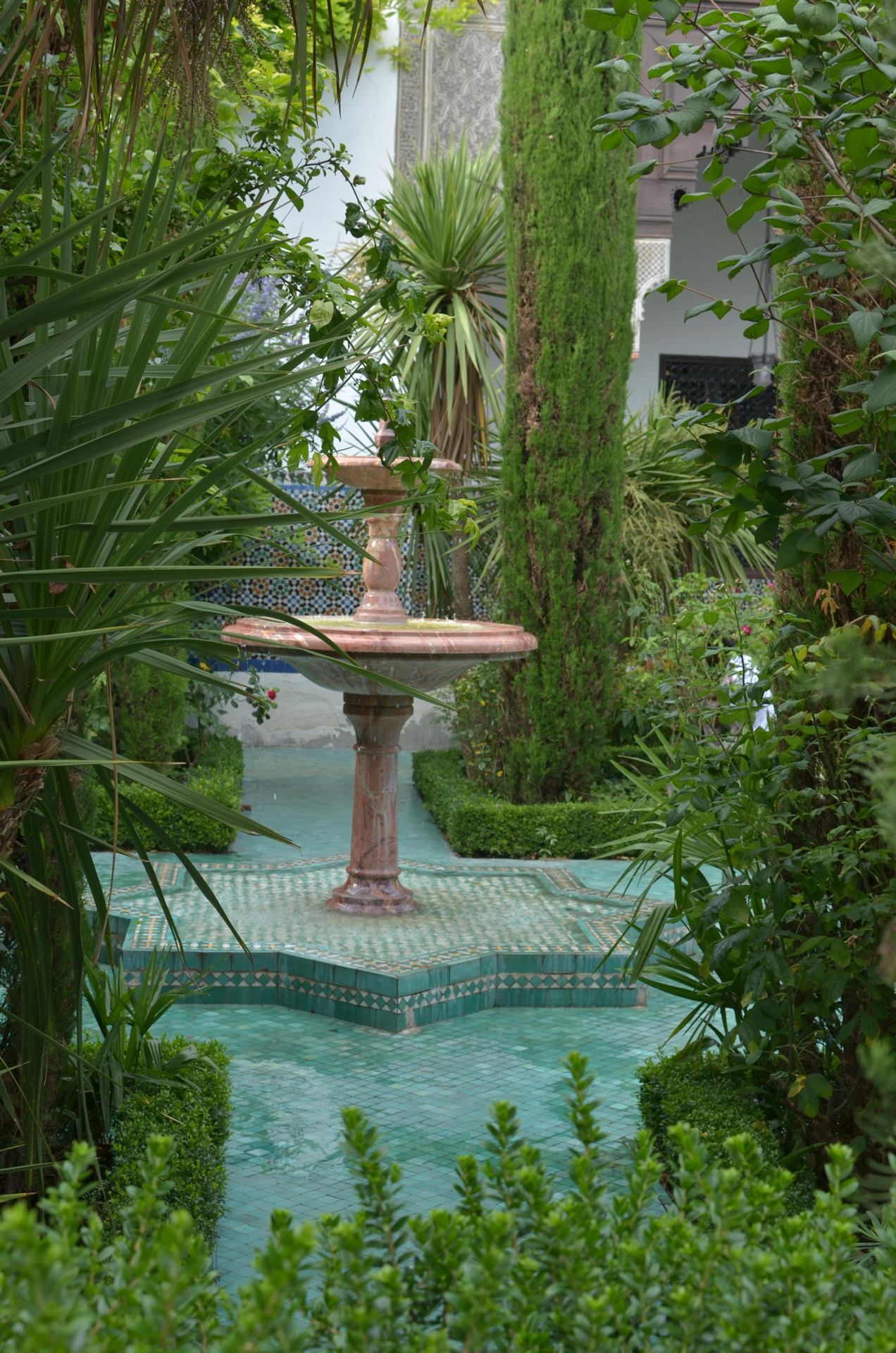 DSC_2616.JPG