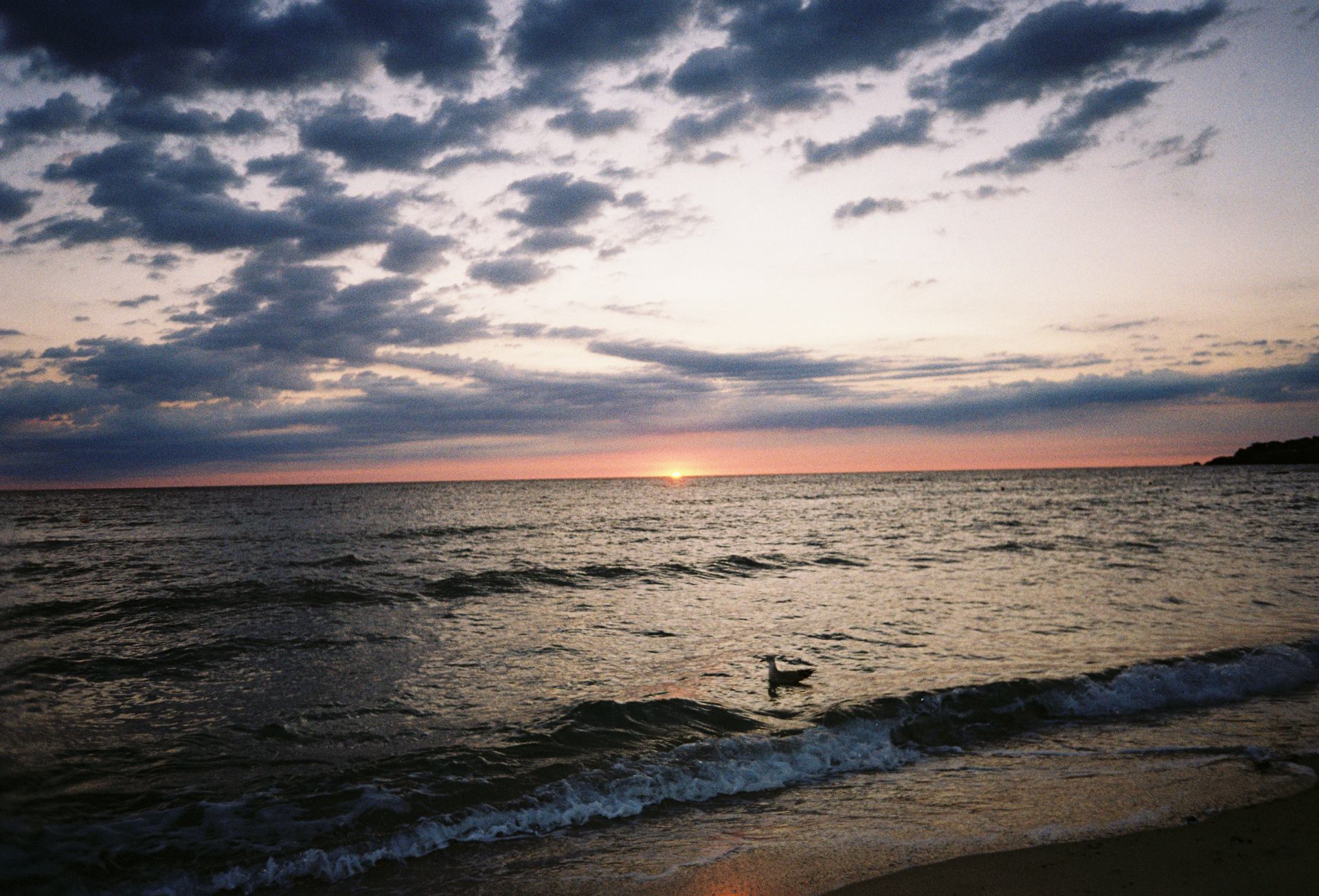 Bulgaria, SOZOPOL, iulie 2025  (32).JPG