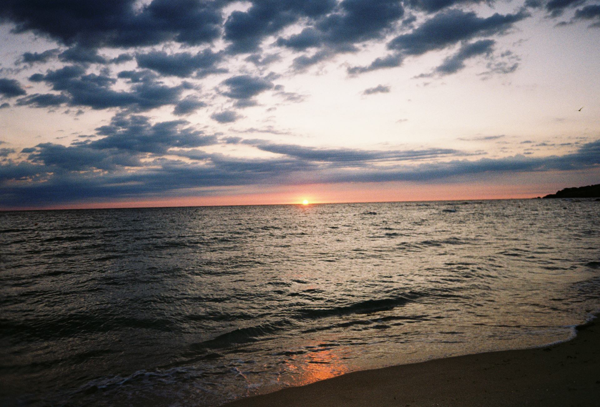 Bulgaria, SOZOPOL, iulie 2025  (33).JPG