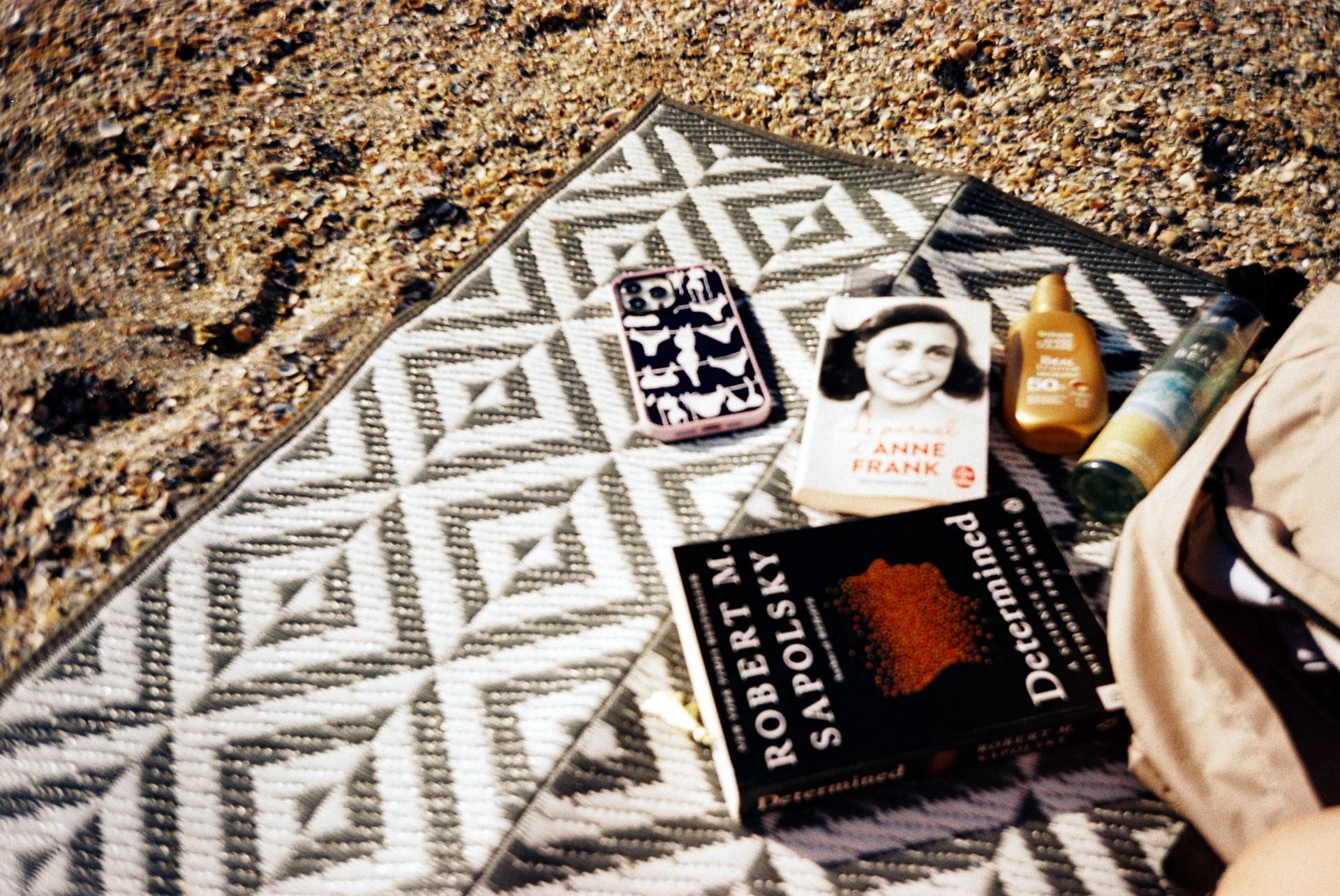 july-september 2025  (8).JPG